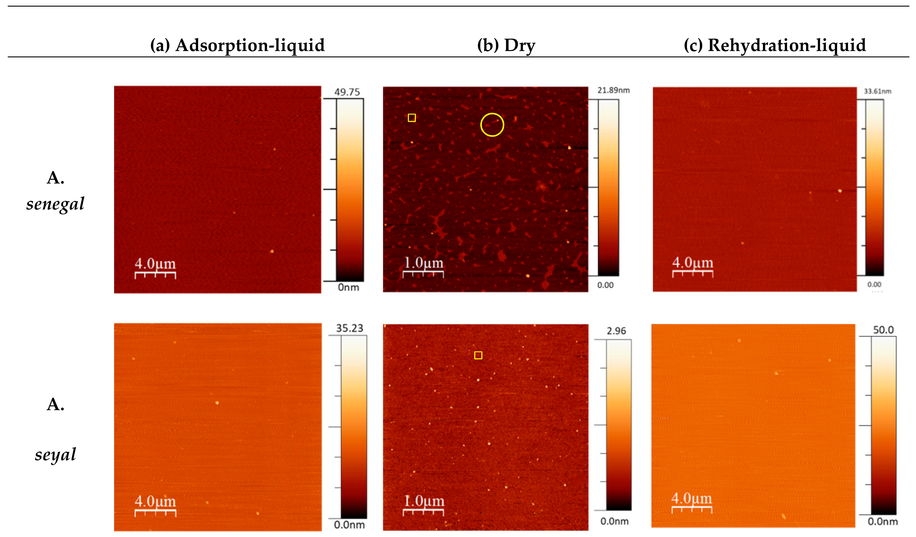 Colloids 03 00049 g008