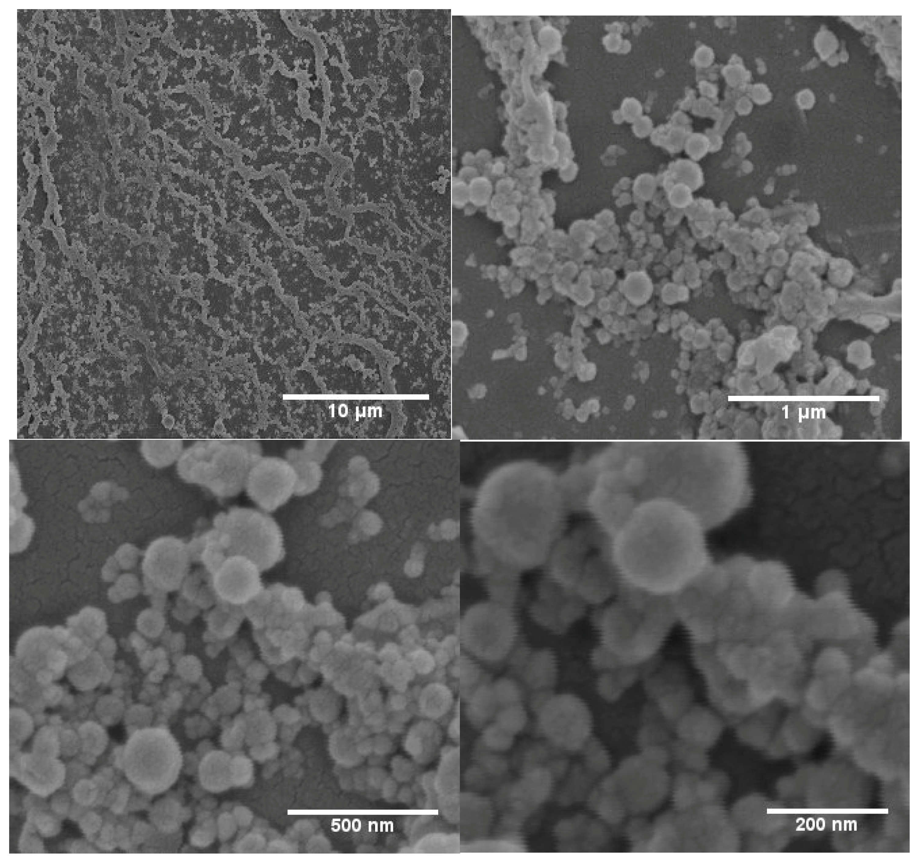 Colloids 03 00052 g003 Colloids 03 00052 g003