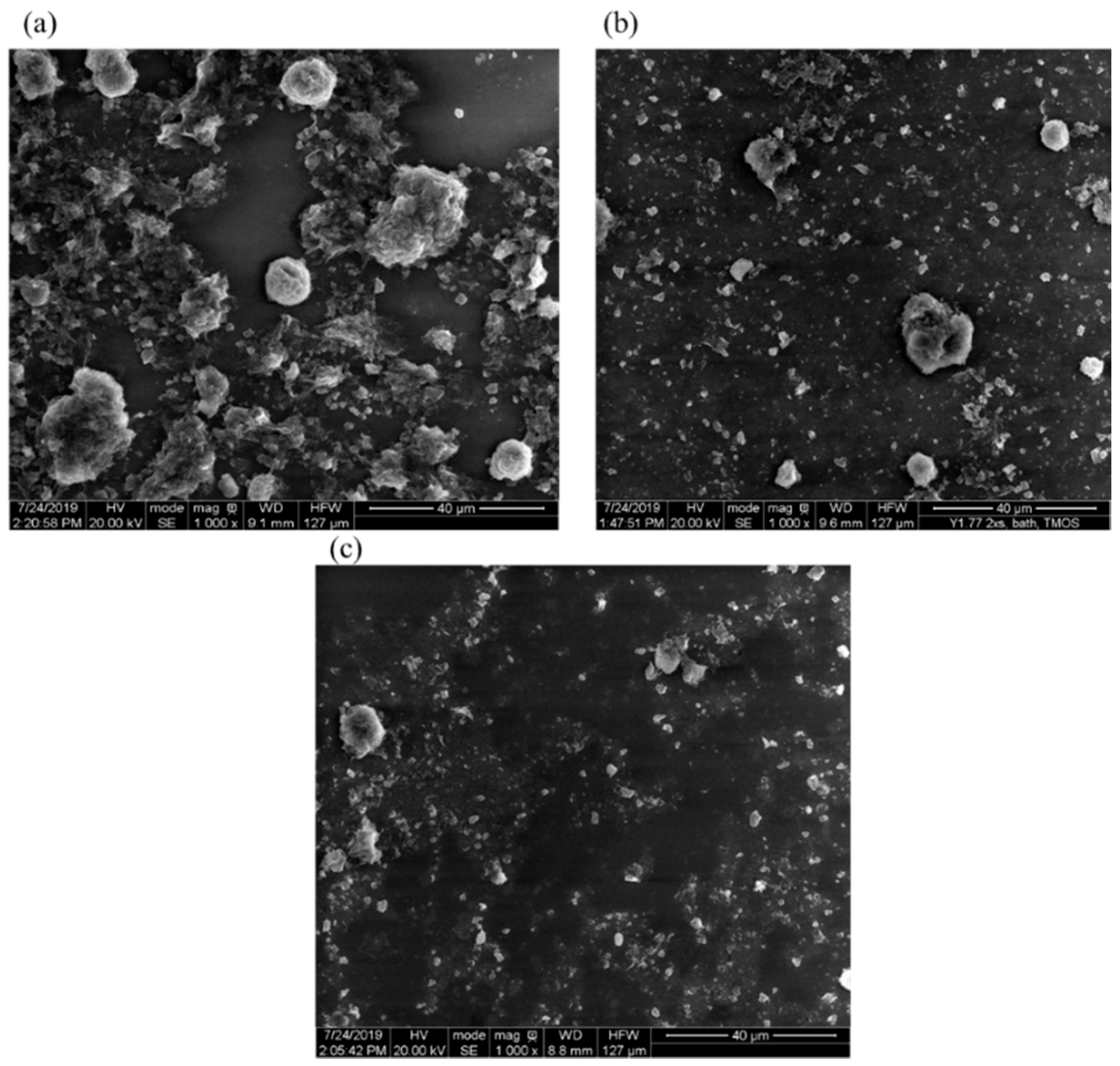 Colloids 04 00002 g004