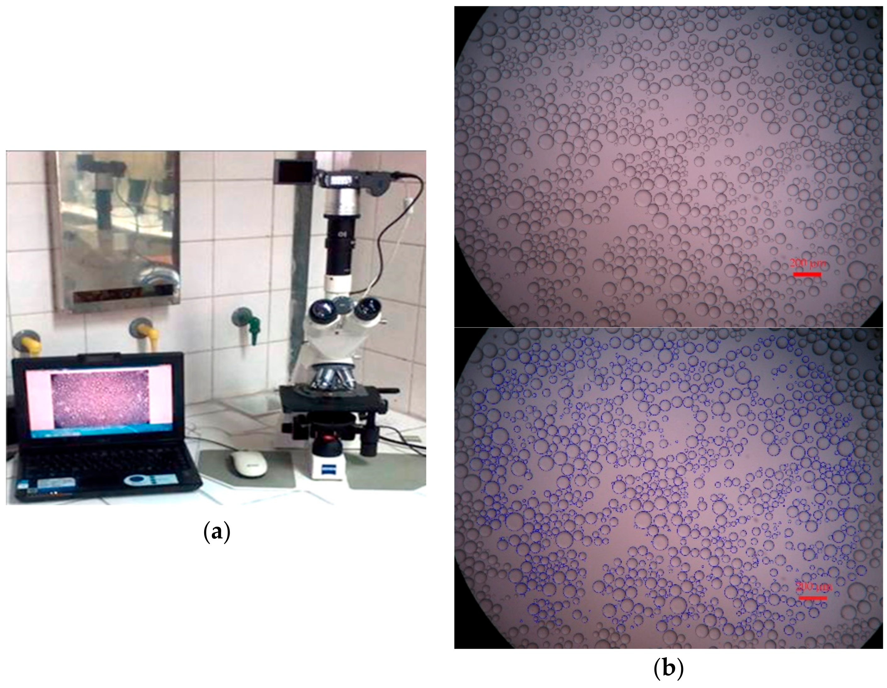 Colloids 04 00007 g004 Colloids 04 00007 g004