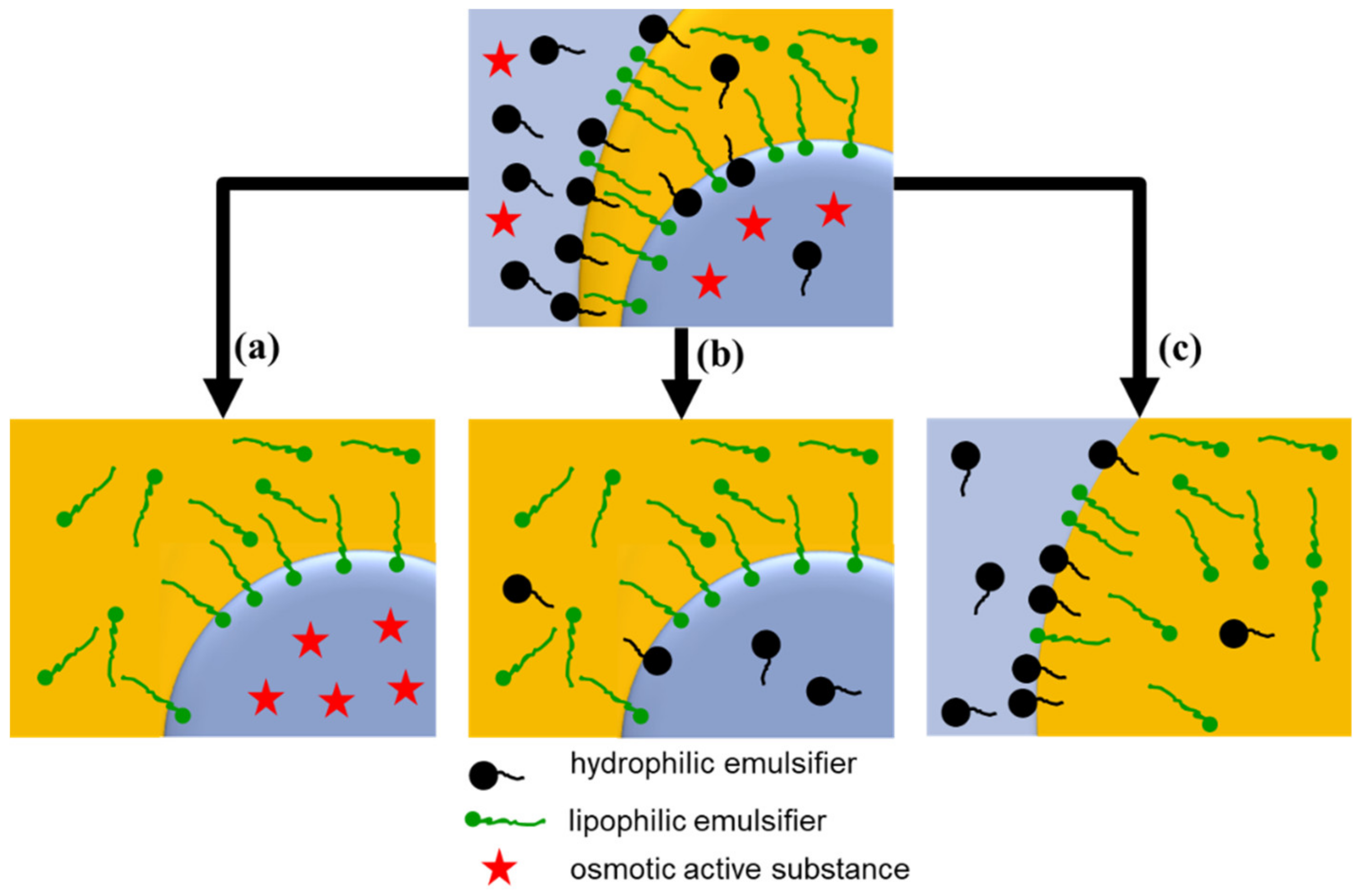 Colloids 04 00008 g010