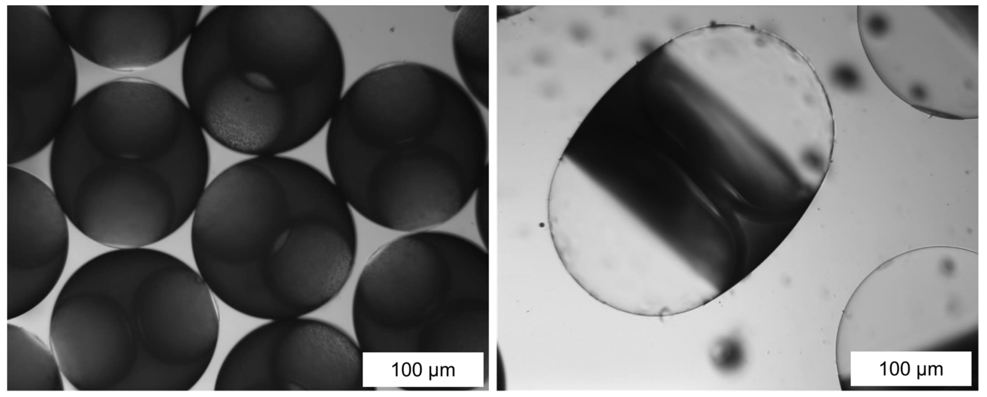 Colloids 04 00008 g011