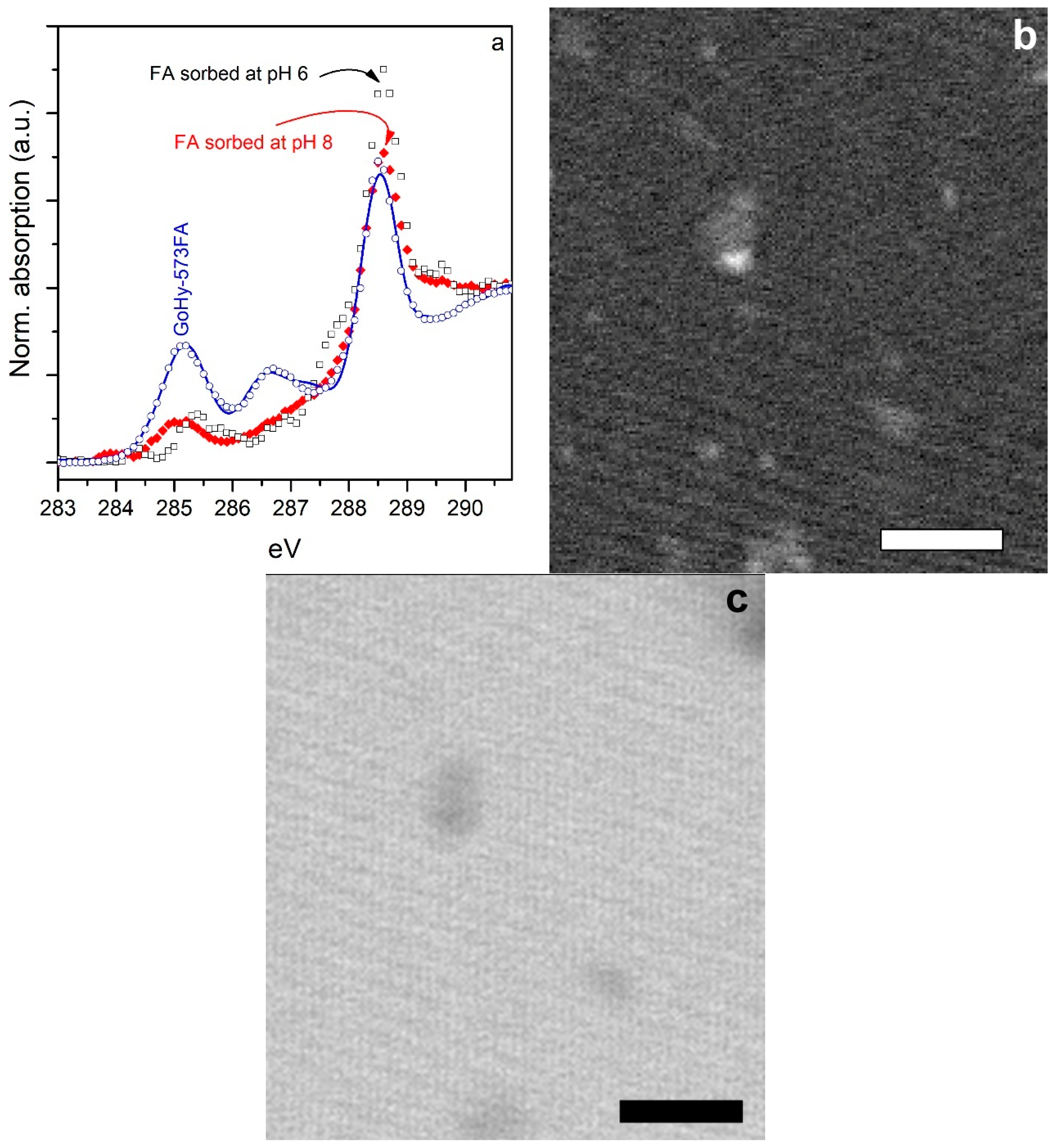 Colloids 04 00016 g004 Colloids 04 00016 g004