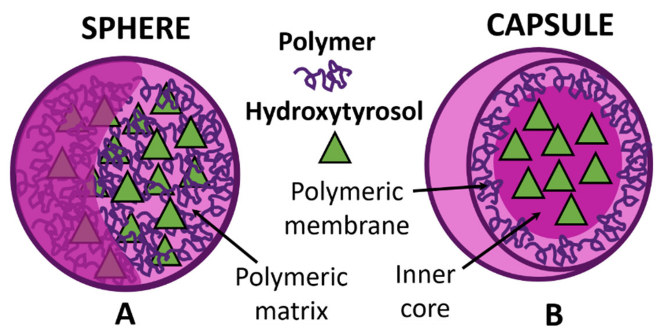 Colloids 04 00025 g005