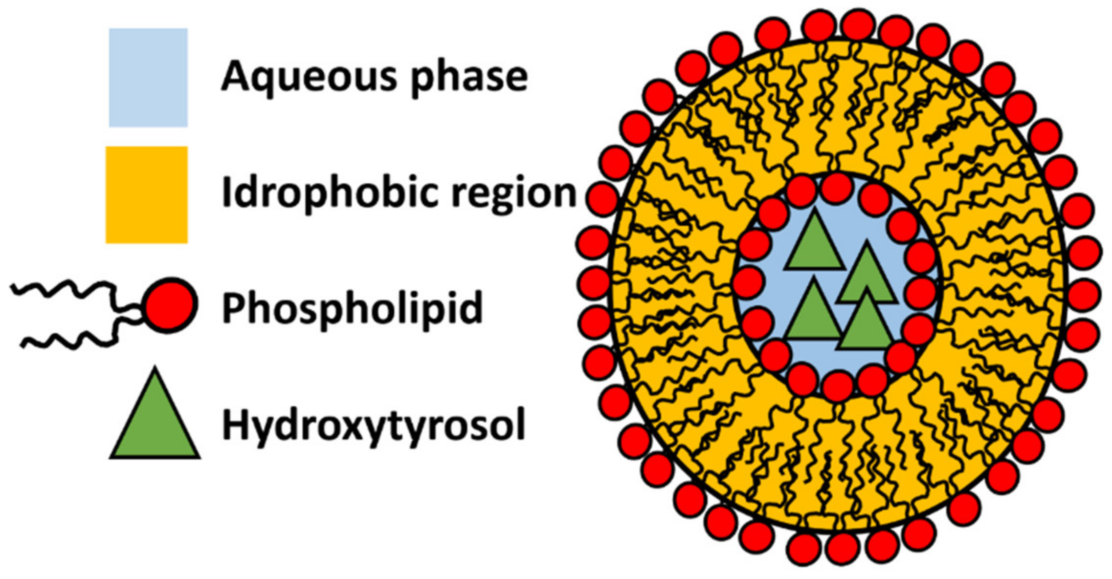 Colloids 04 00025 g006