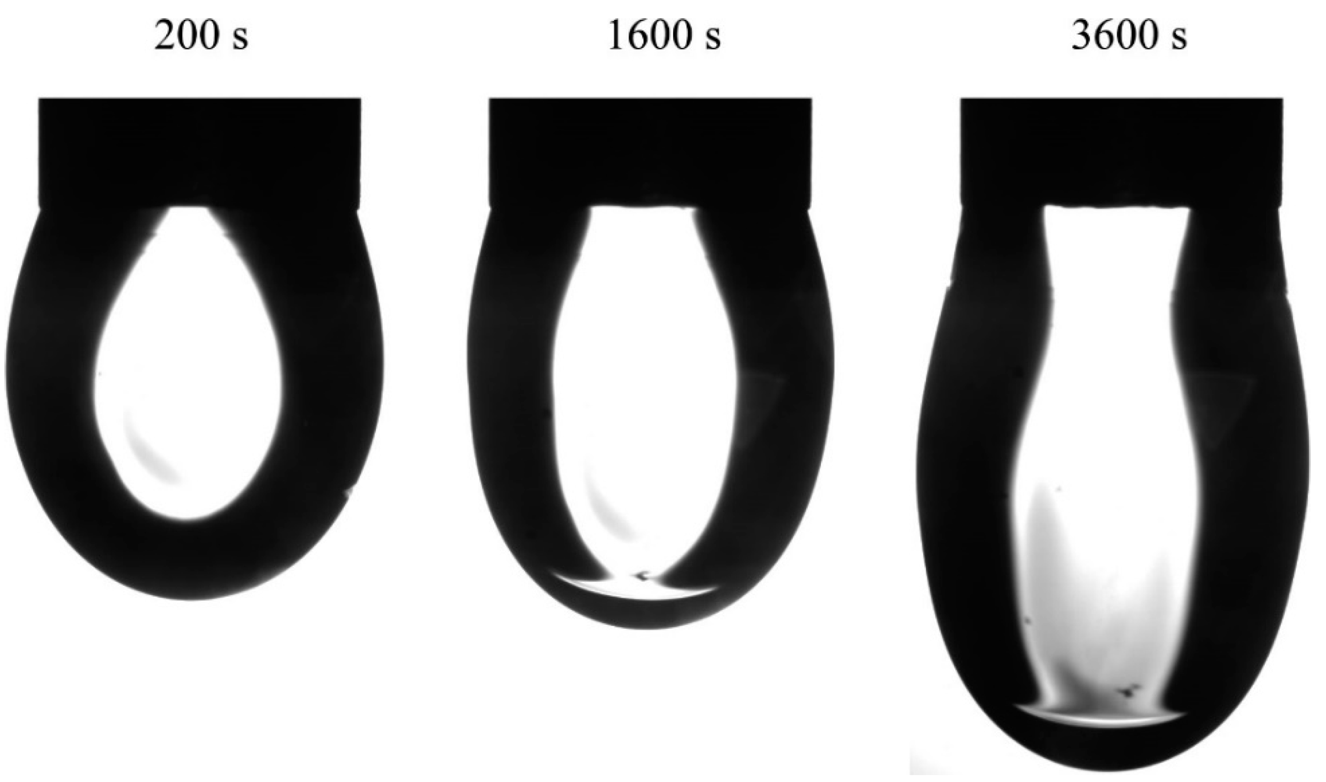 Colloids 04 00029 g005