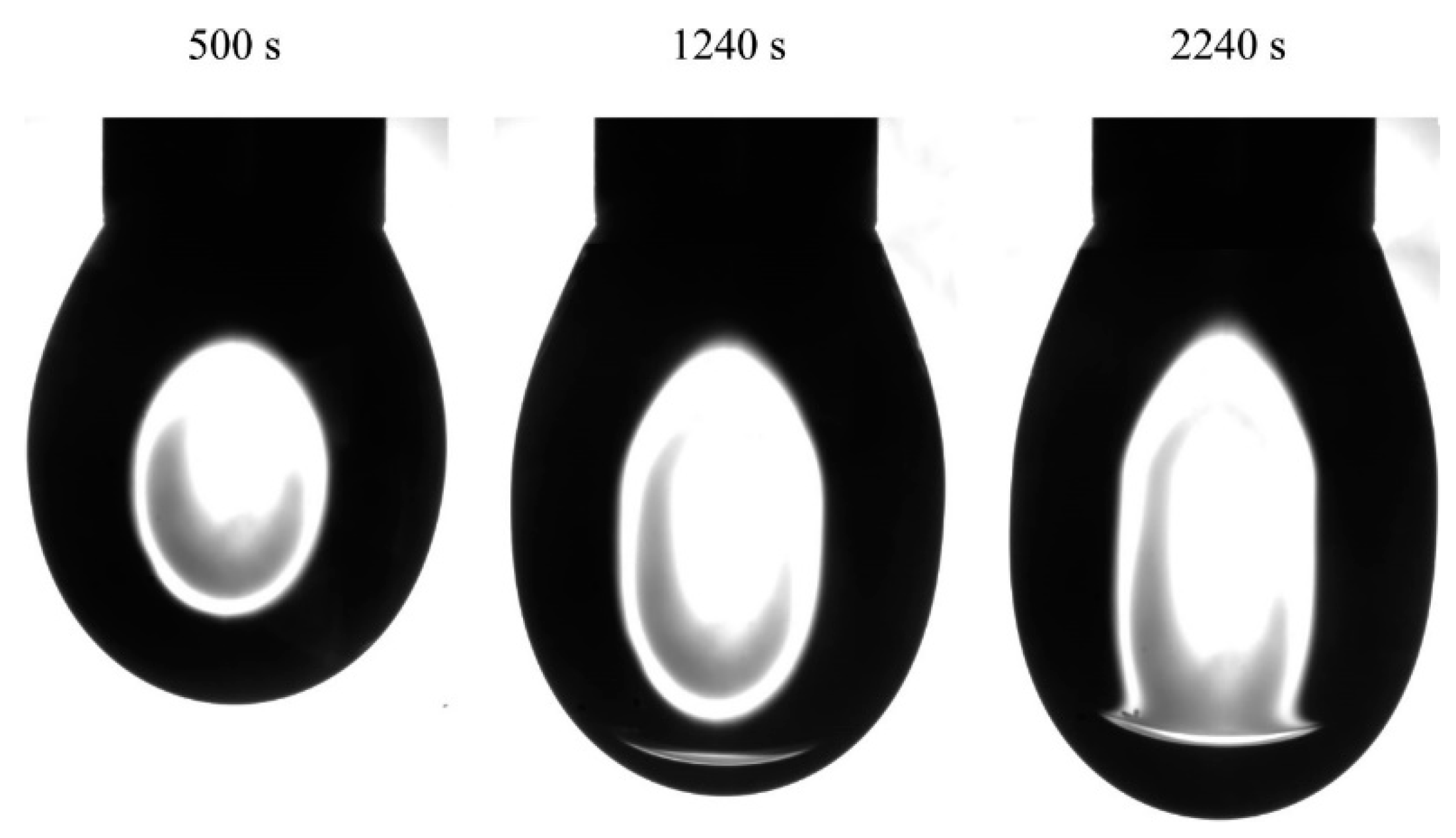 Colloids 04 00029 g010