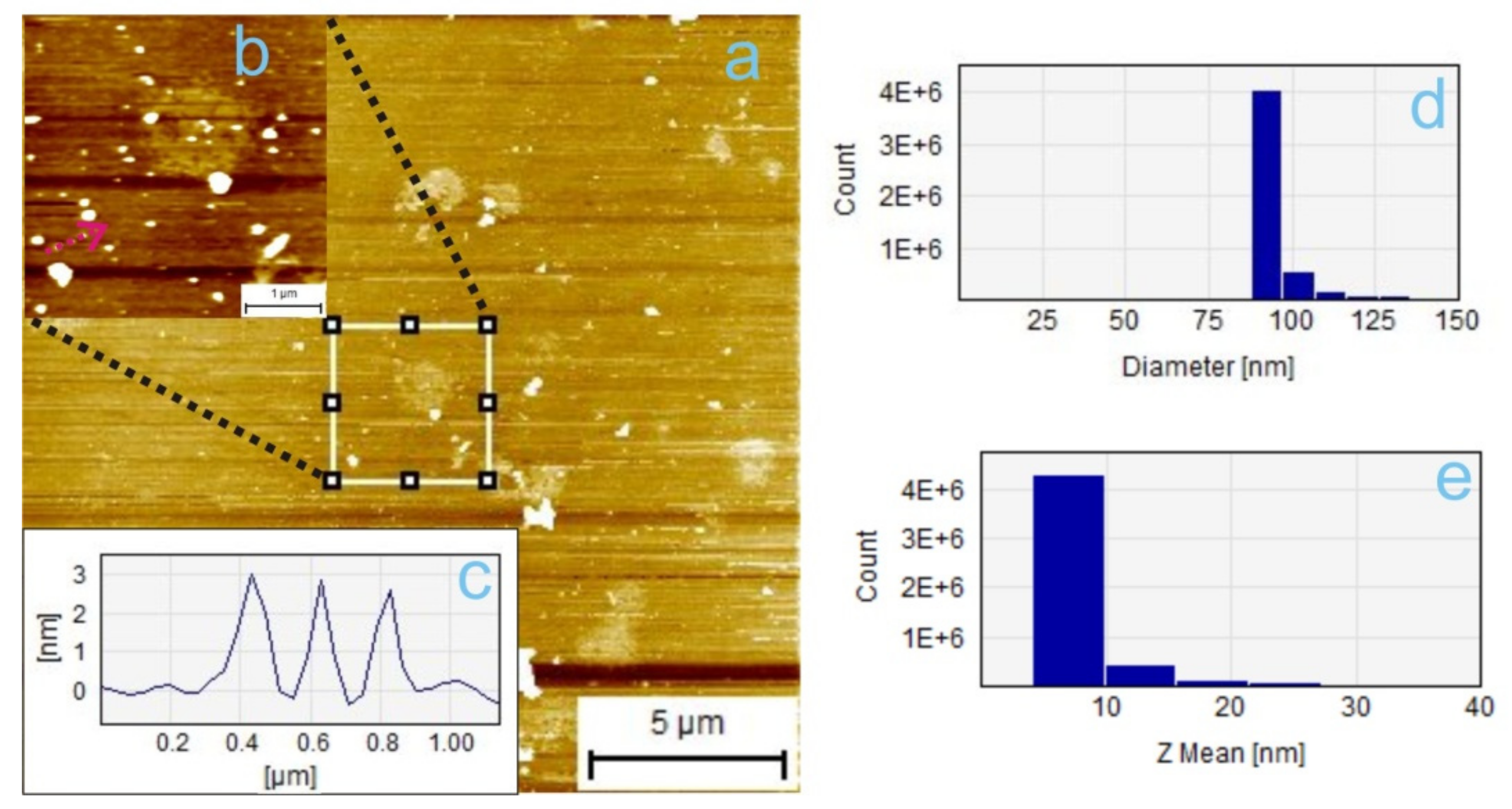 Colloids 04 00039 g004