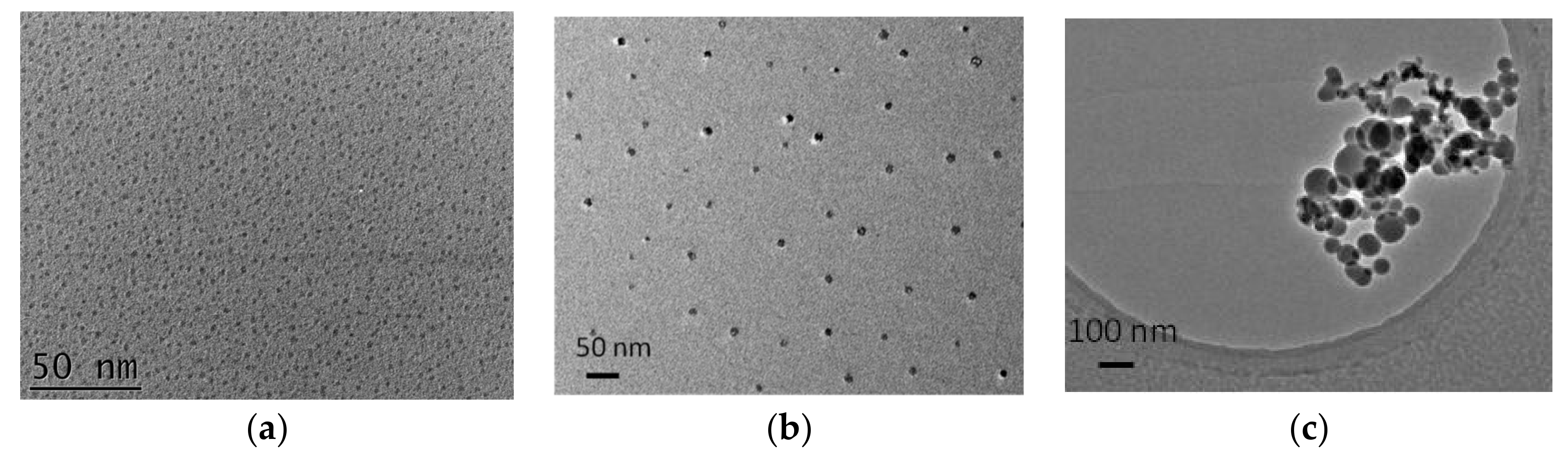 Colloids 04 00039 g006