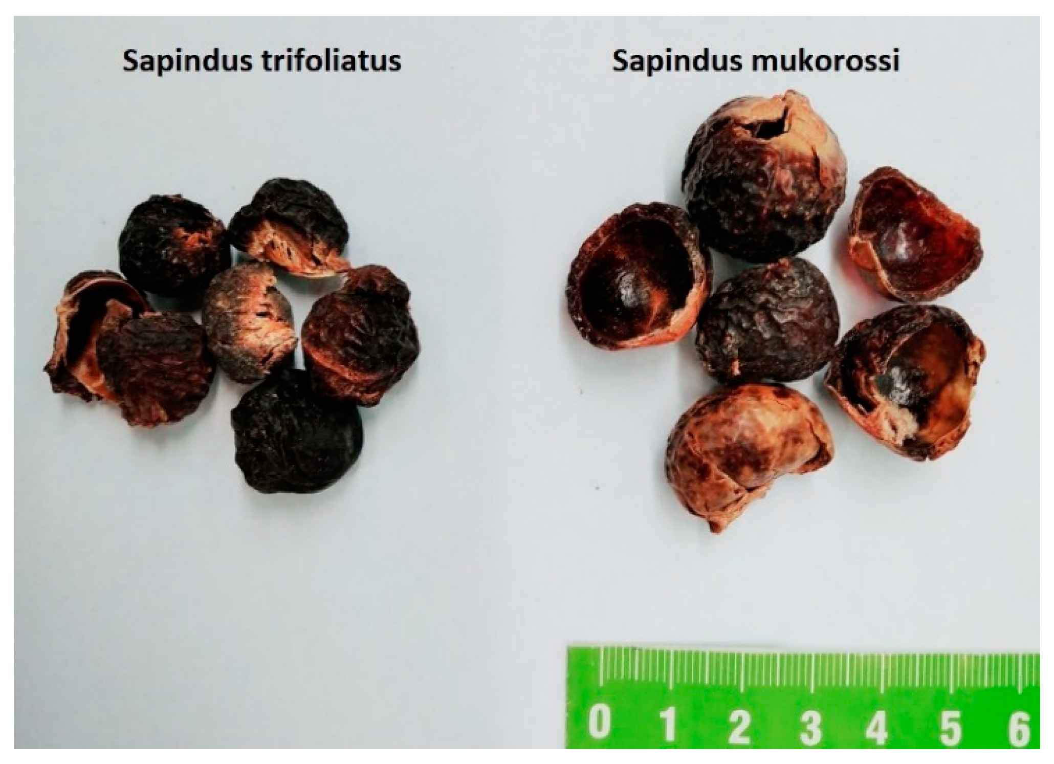 Colloids 05 00007 g001