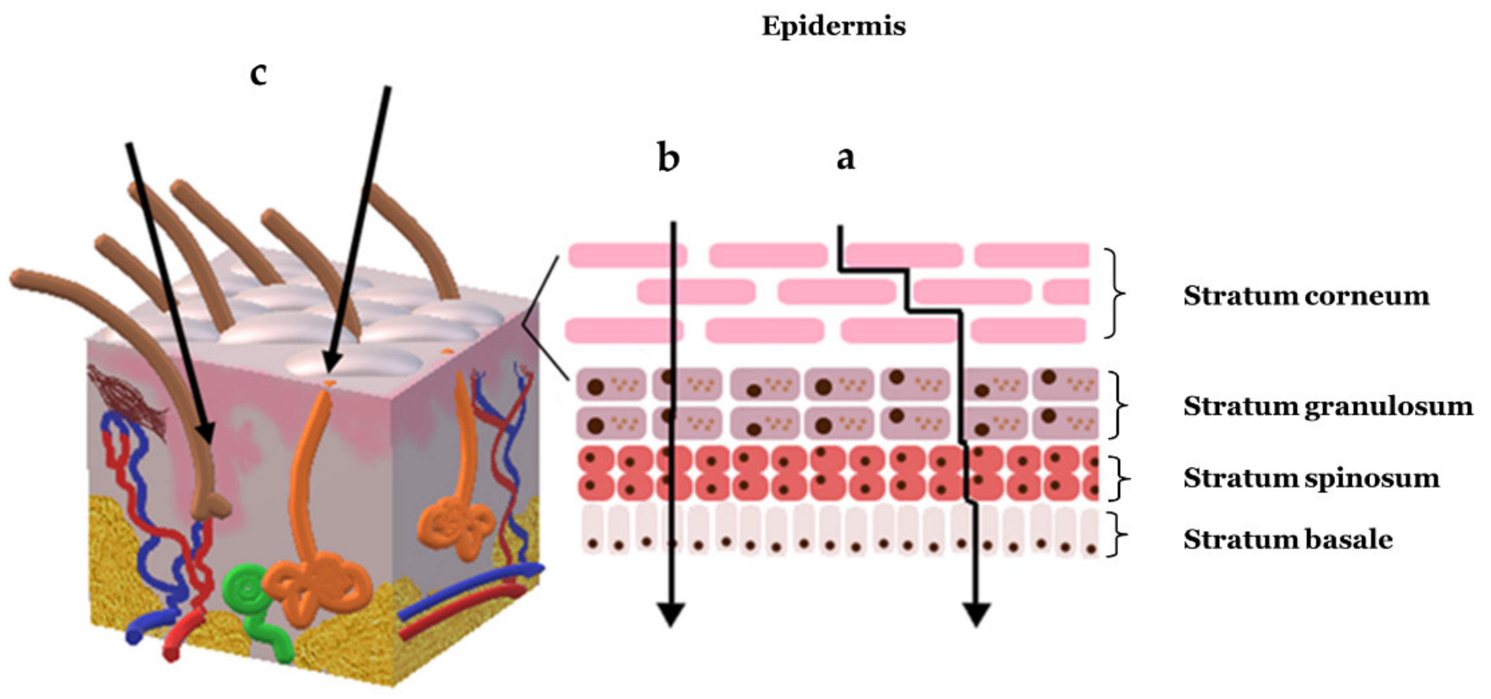 Colloids 05 00018 g001