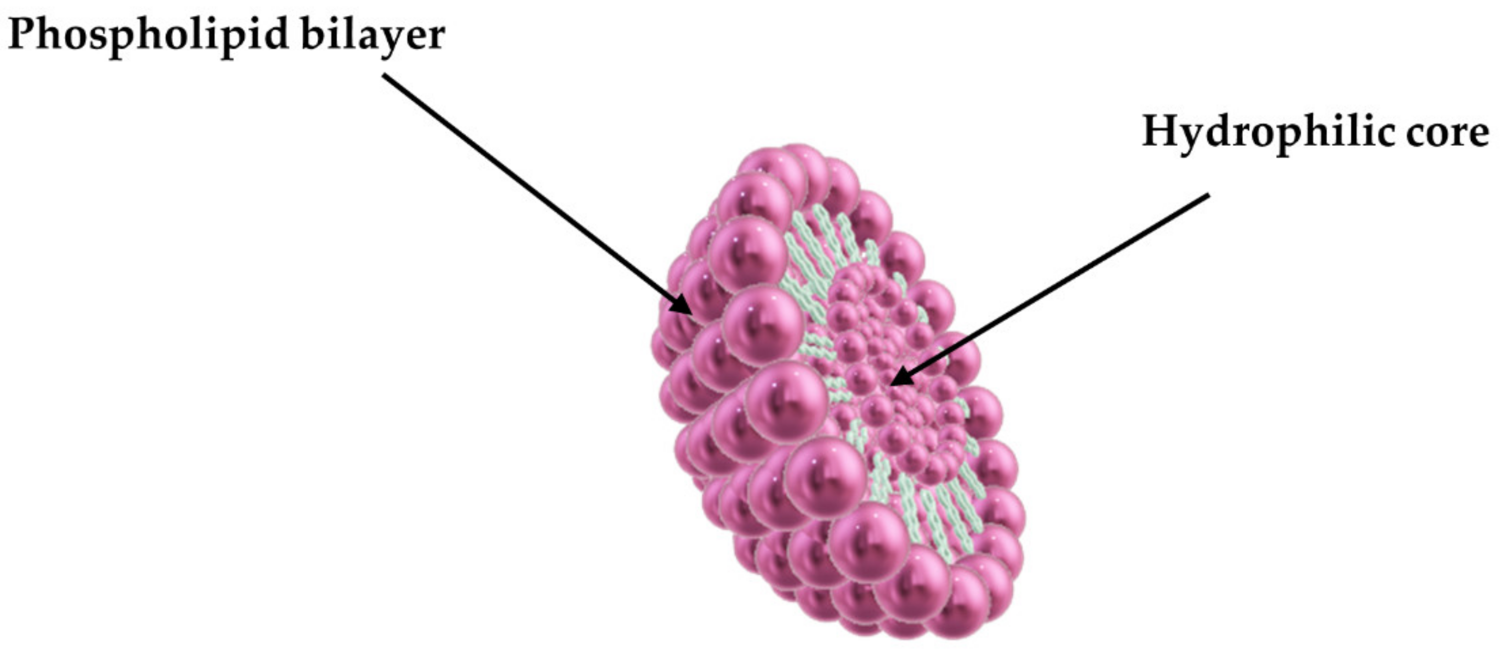 Colloids 05 00018 g004