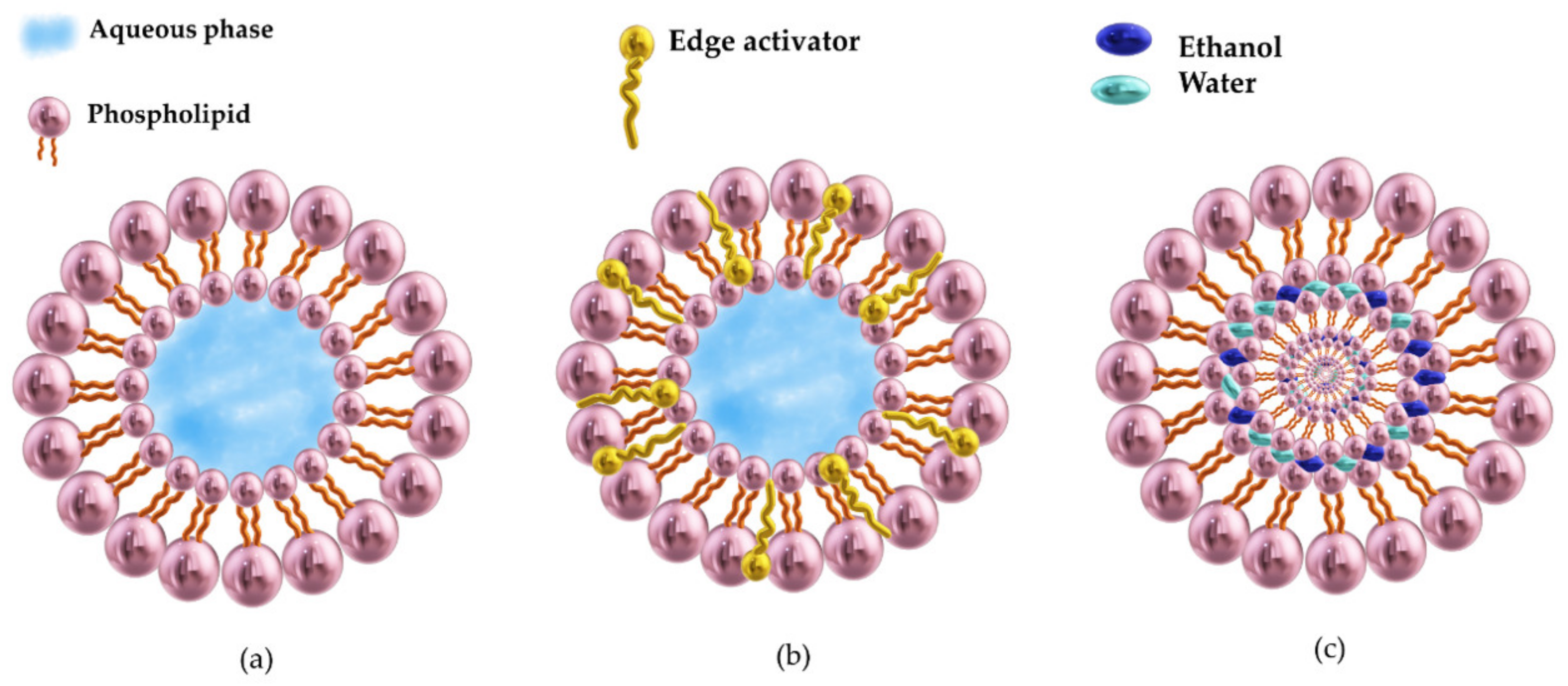 Colloids 05 00018 g005