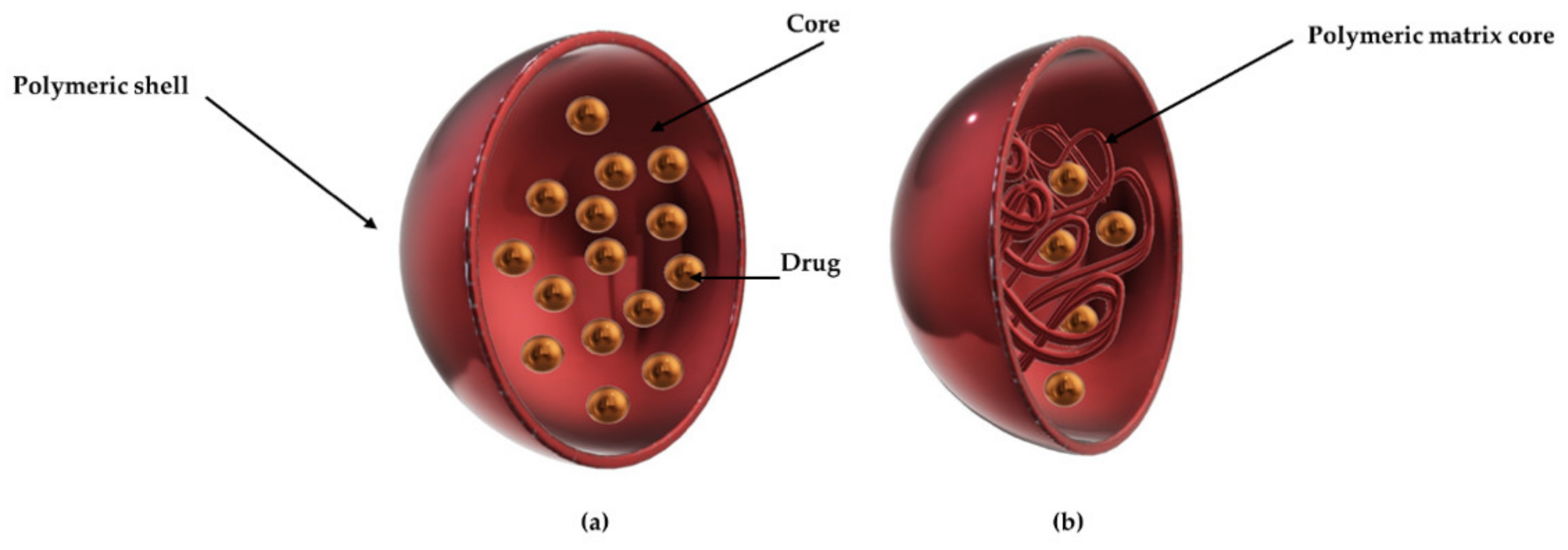 Colloids 05 00018 g009