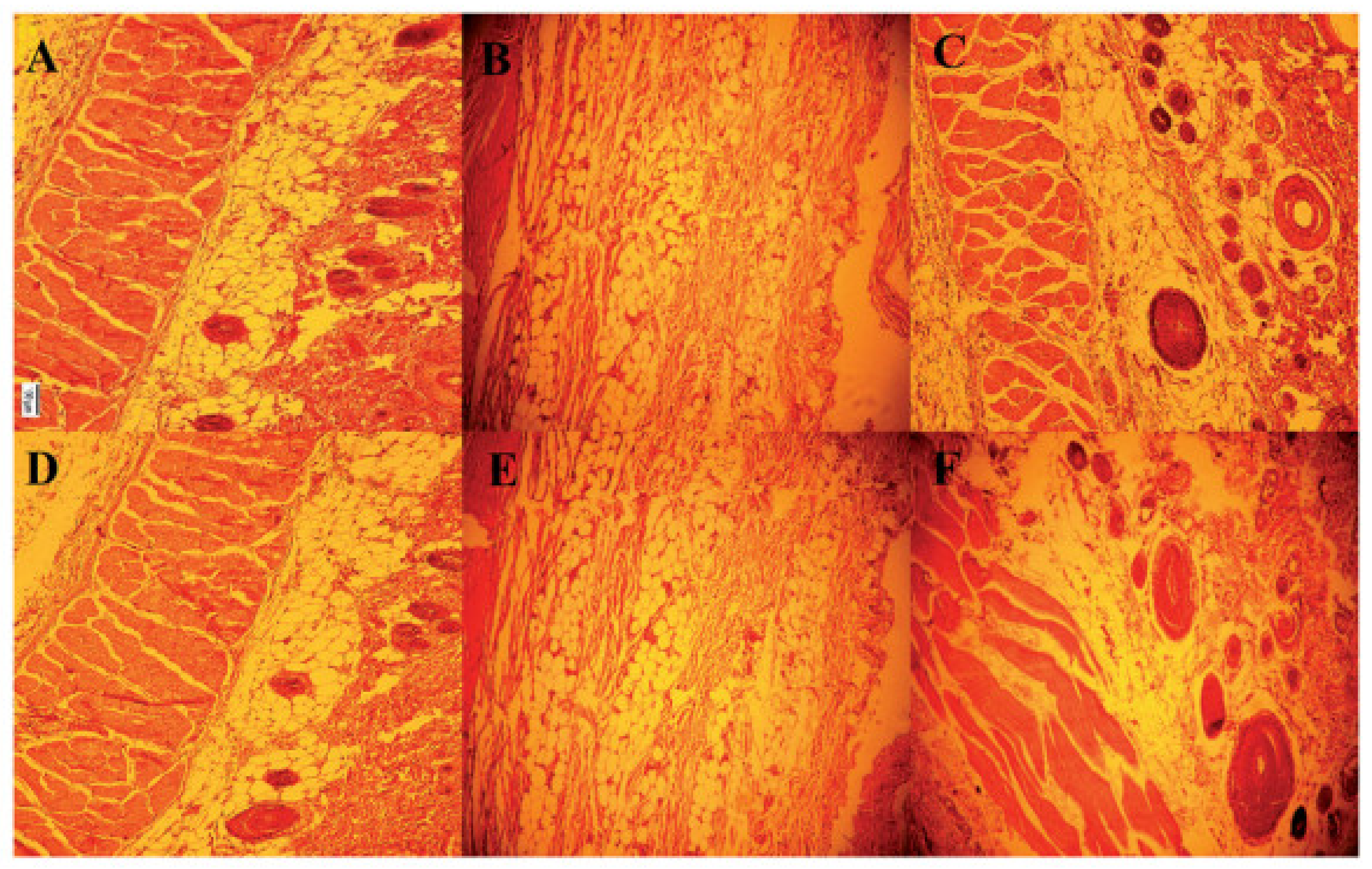 Colloids 05 00018 g010