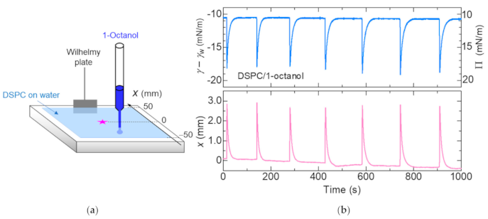 Colloids 05 00031 g001 Colloids 05 00031 g001