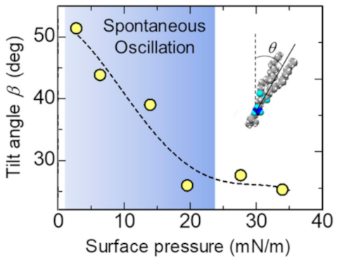 Colloids 05 00031 g007 Colloids 05 00031 g007
