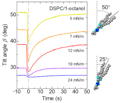 Colloids 05 00031 g008 Colloids 05 00031 g008