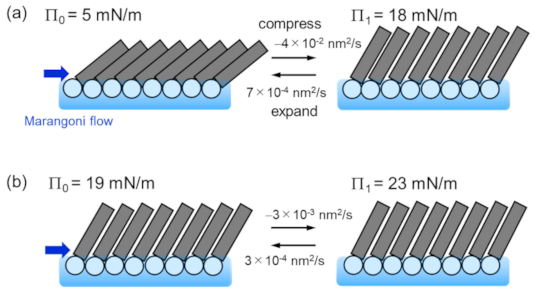 Colloids 05 00031 g010 Colloids 05 00031 g010