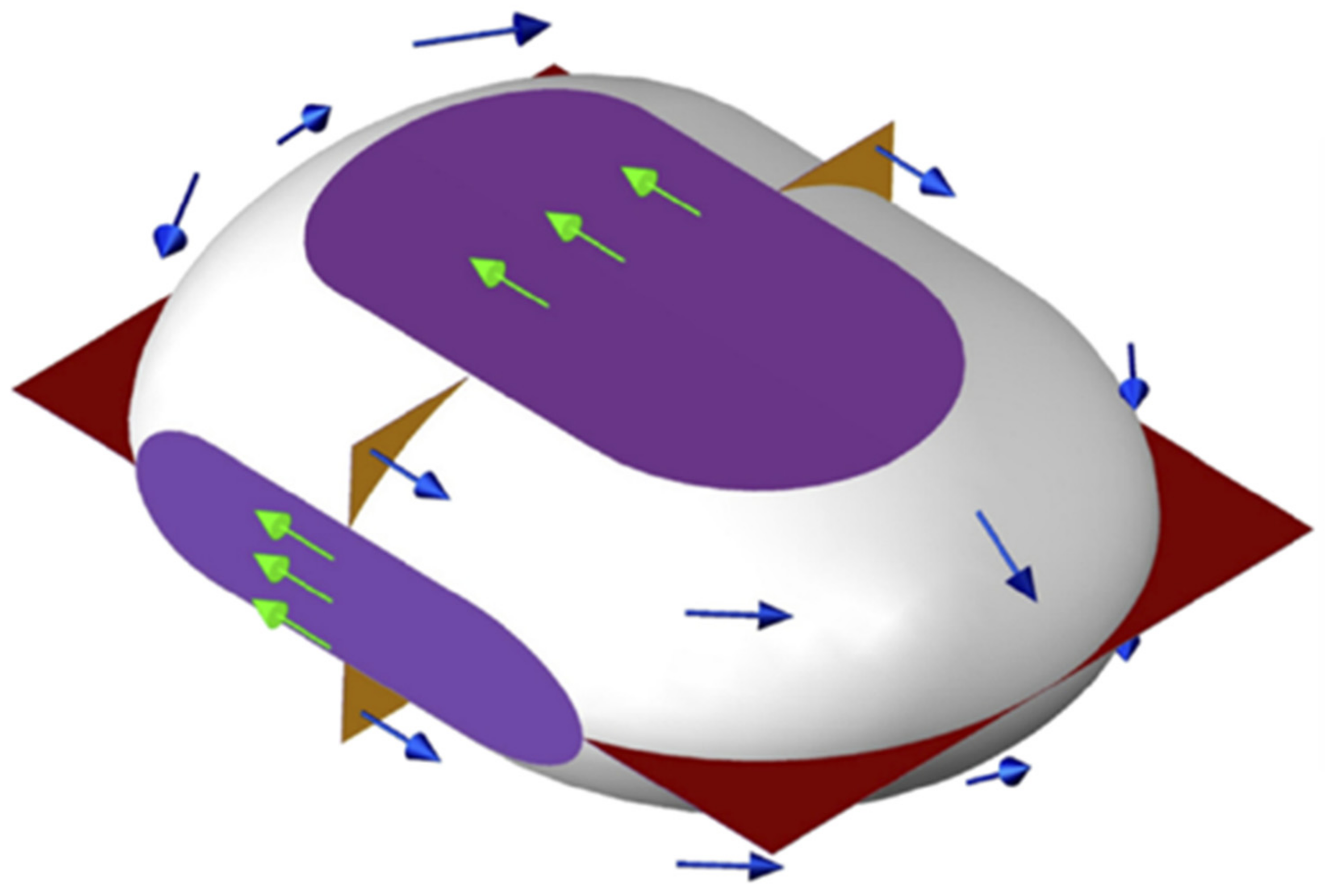 Colloids 05 00040 g001