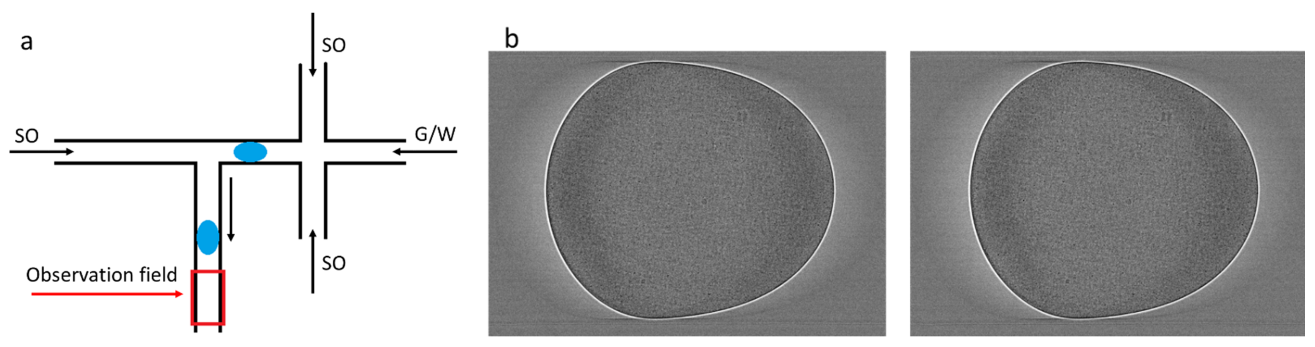 Colloids 05 00040 g002