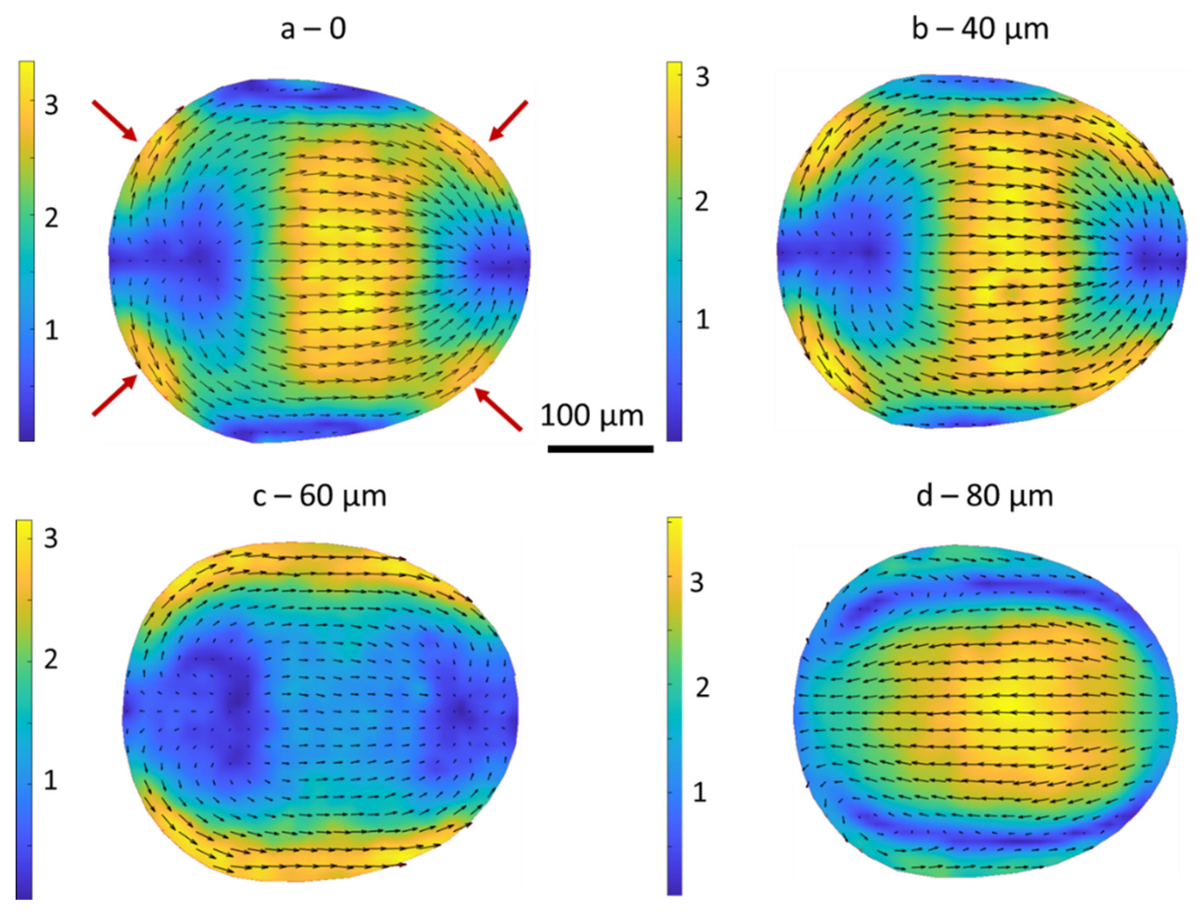 Colloids 05 00040 g003