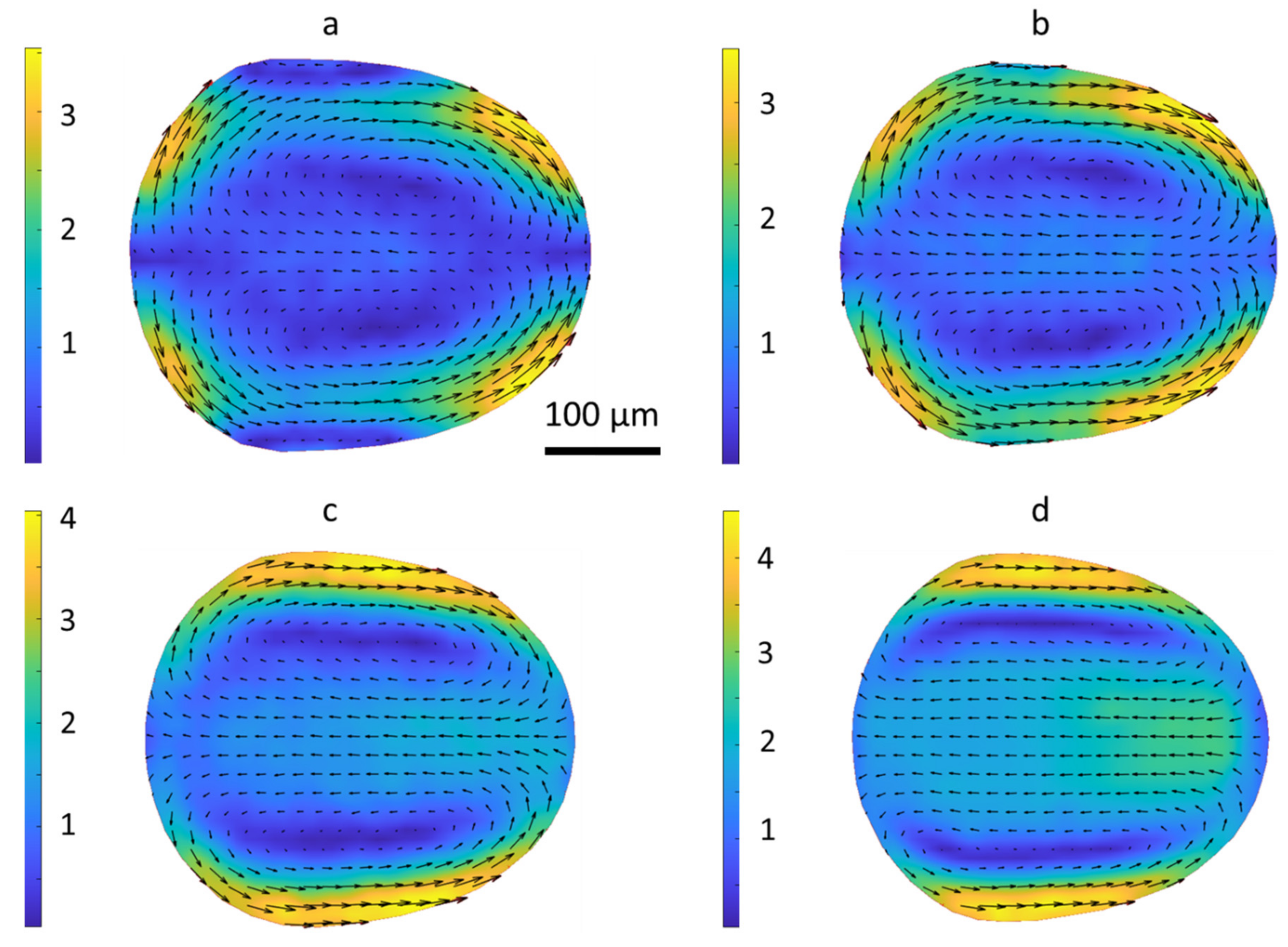 Colloids 05 00040 g009