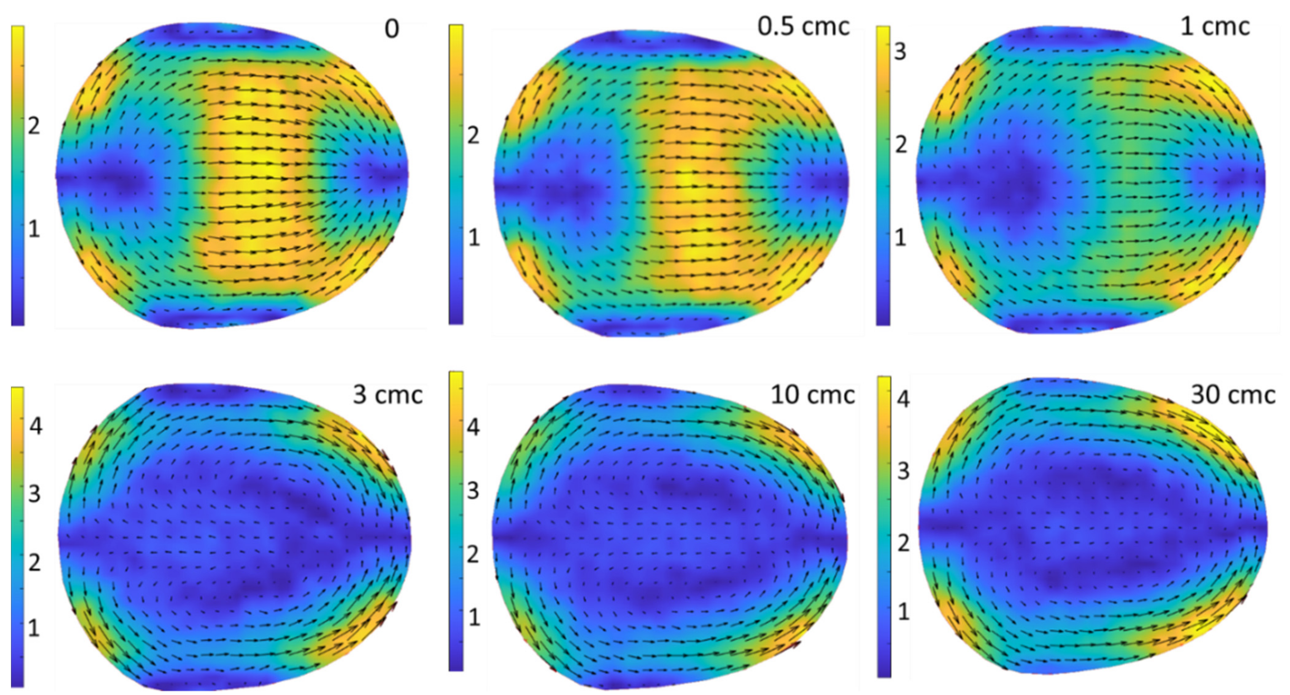 Colloids 05 00040 g010
