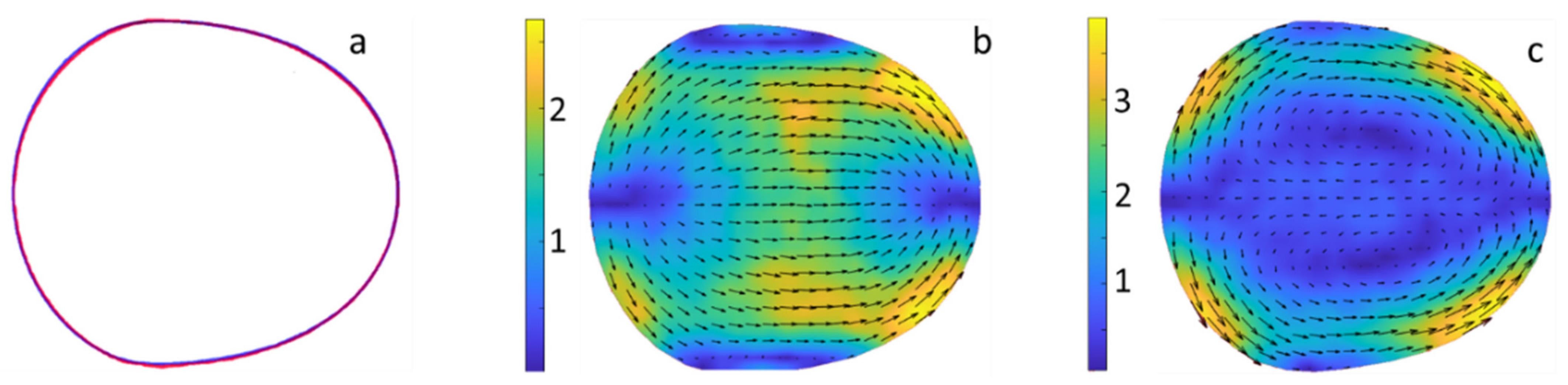 Colloids 05 00040 g011