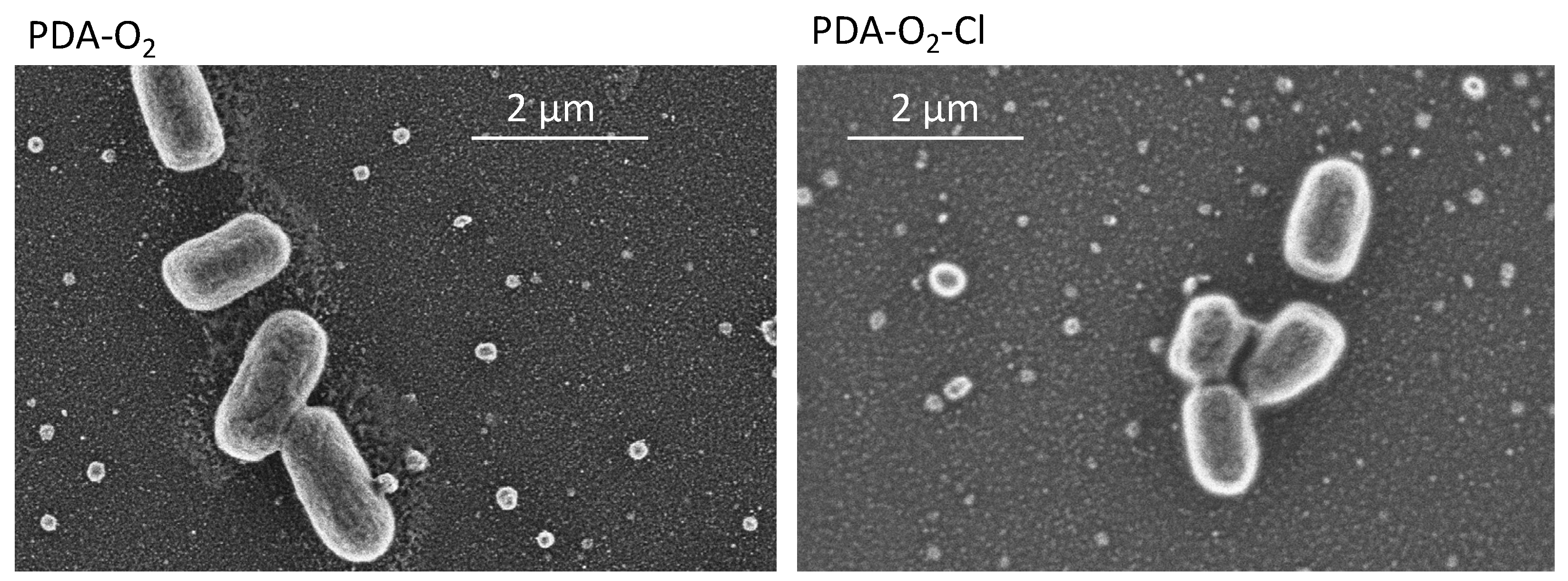 Colloids 06 00009 g008
