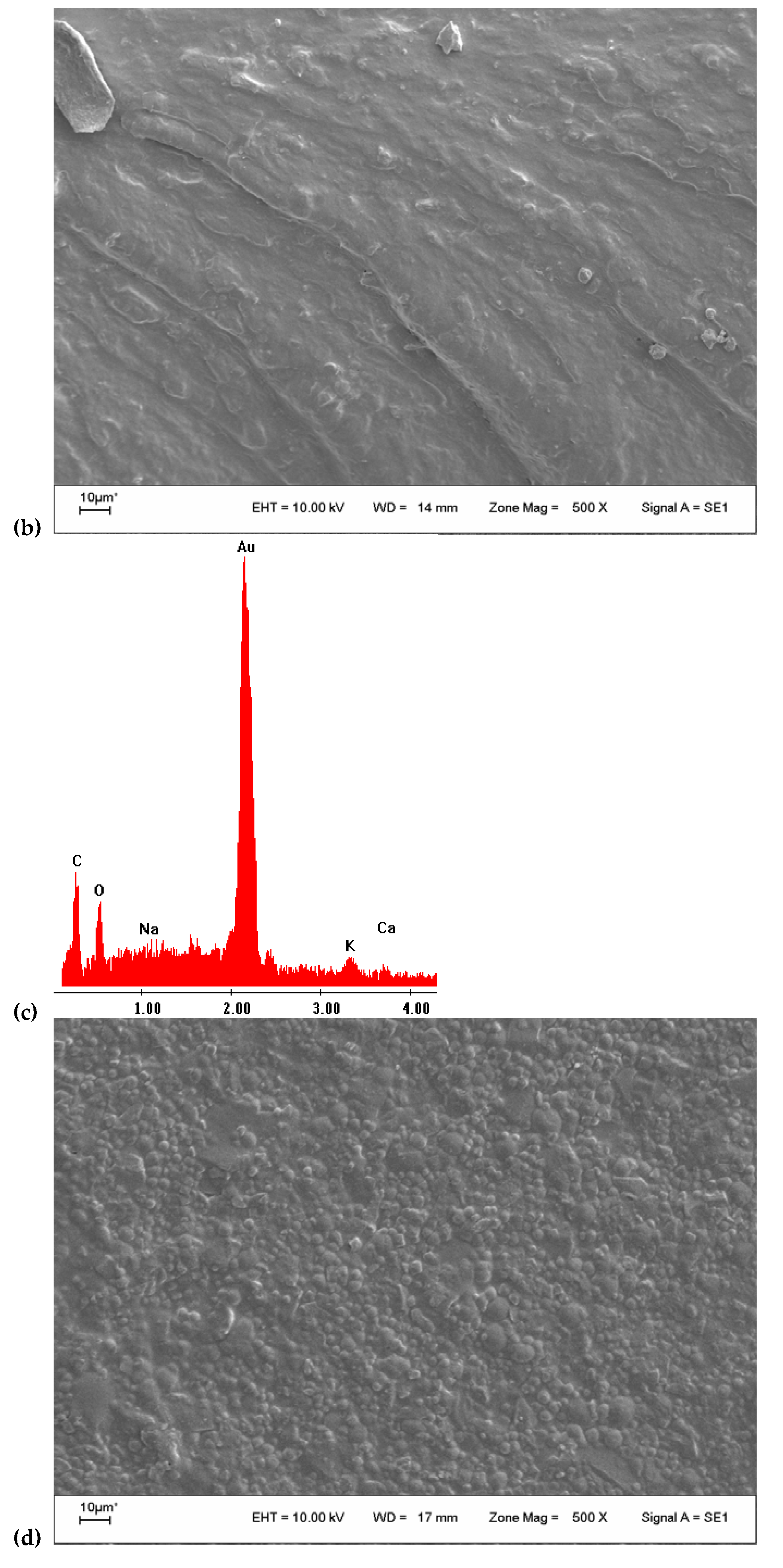 Colloids 06 00010 g002b Colloids 06 00010 g002b