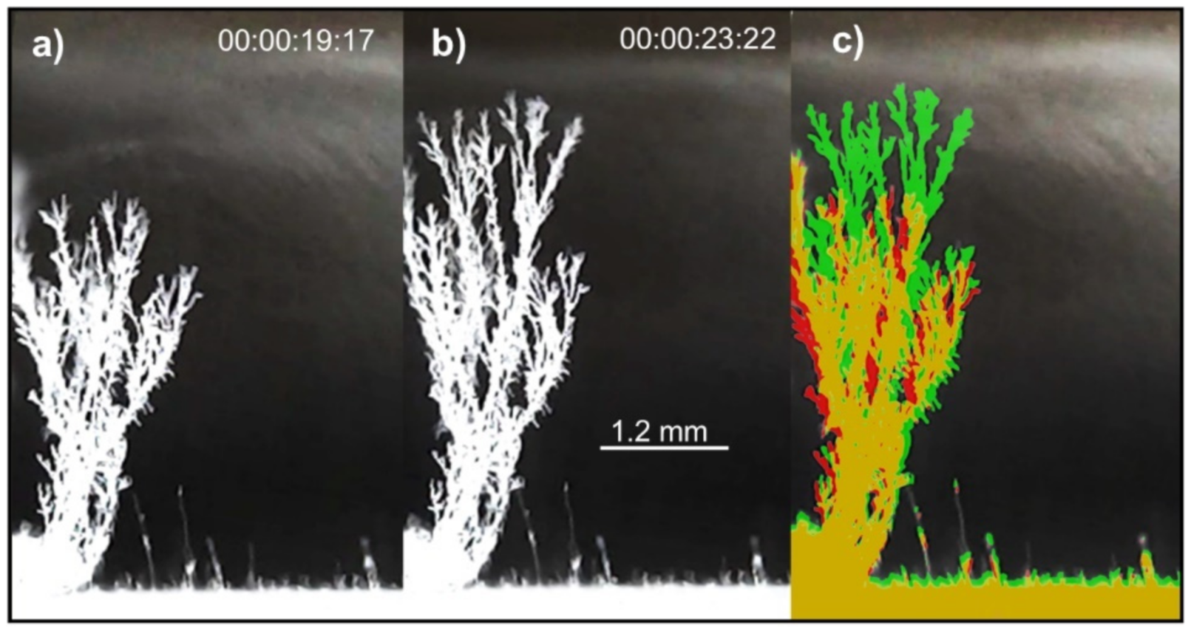 Colloids 06 00013 g006