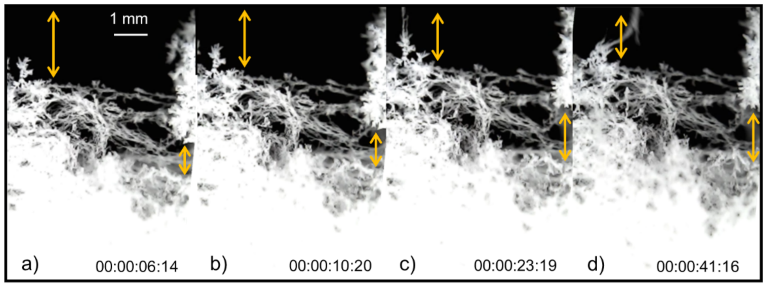 Colloids 06 00013 g009