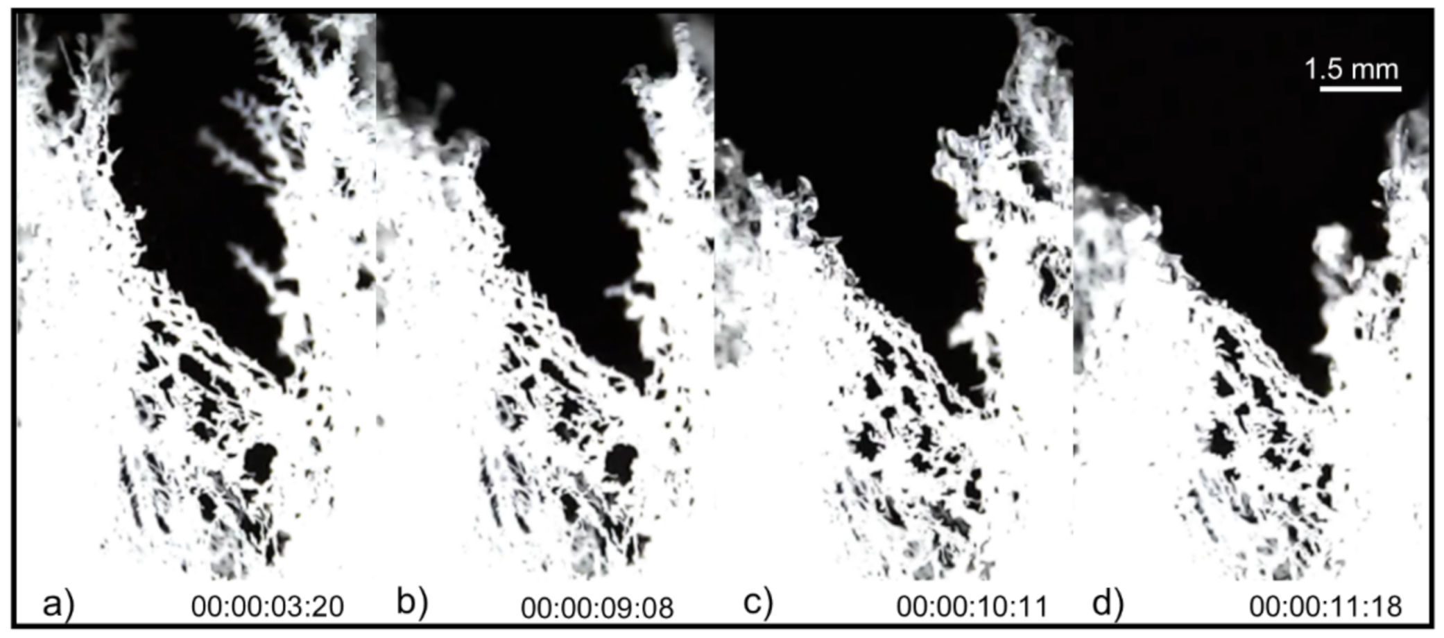 Colloids 06 00013 g010