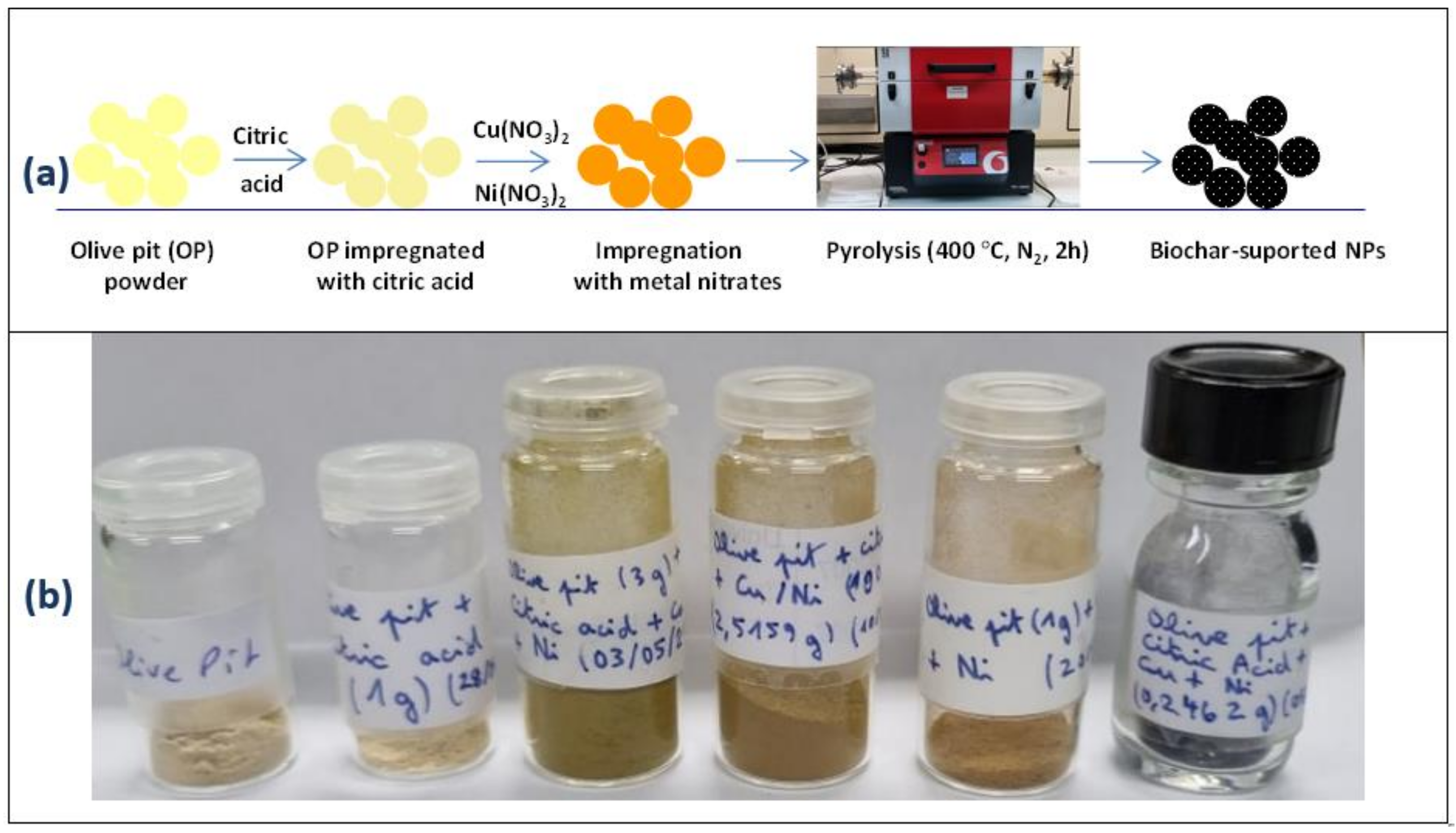 Colloids 06 00018 g001