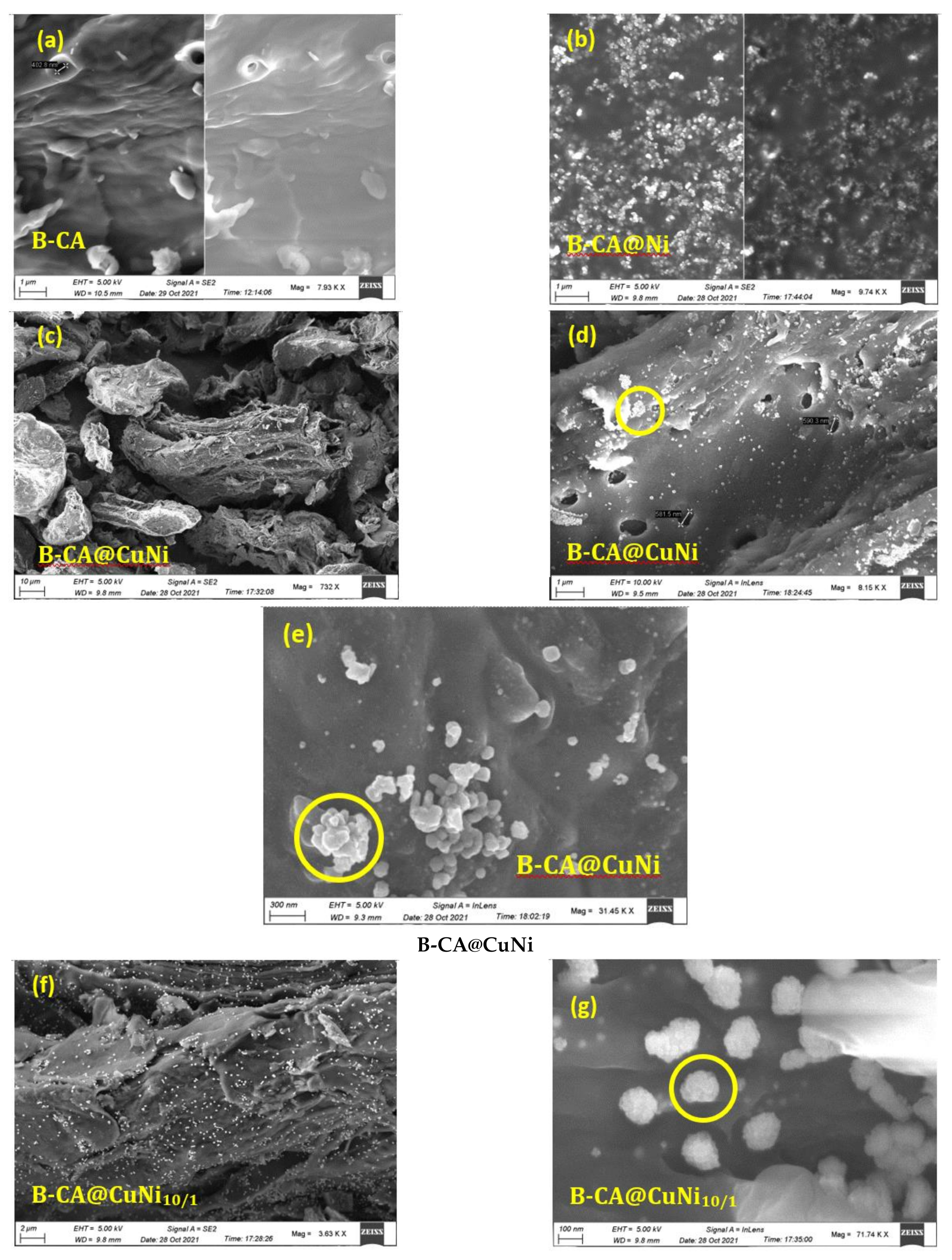 Colloids 06 00018 g004
