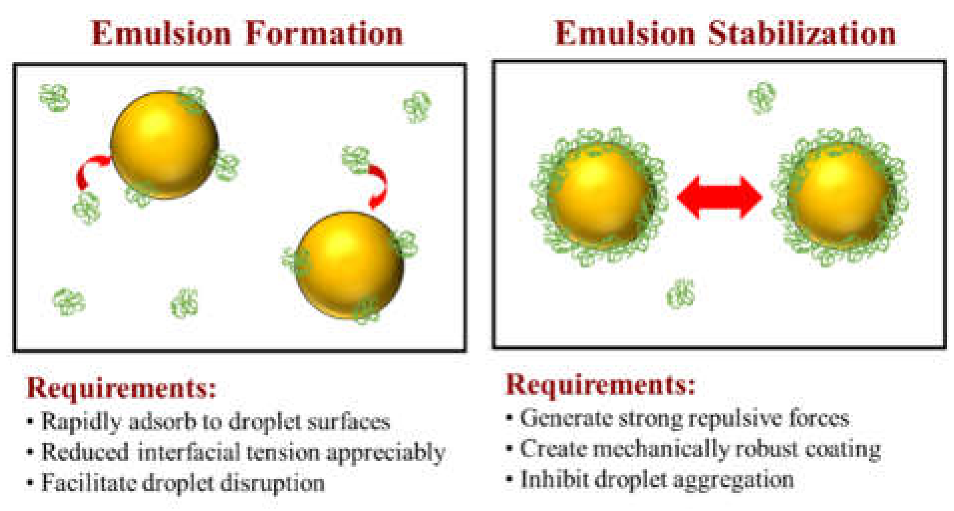 Colloids 06 00019 g001