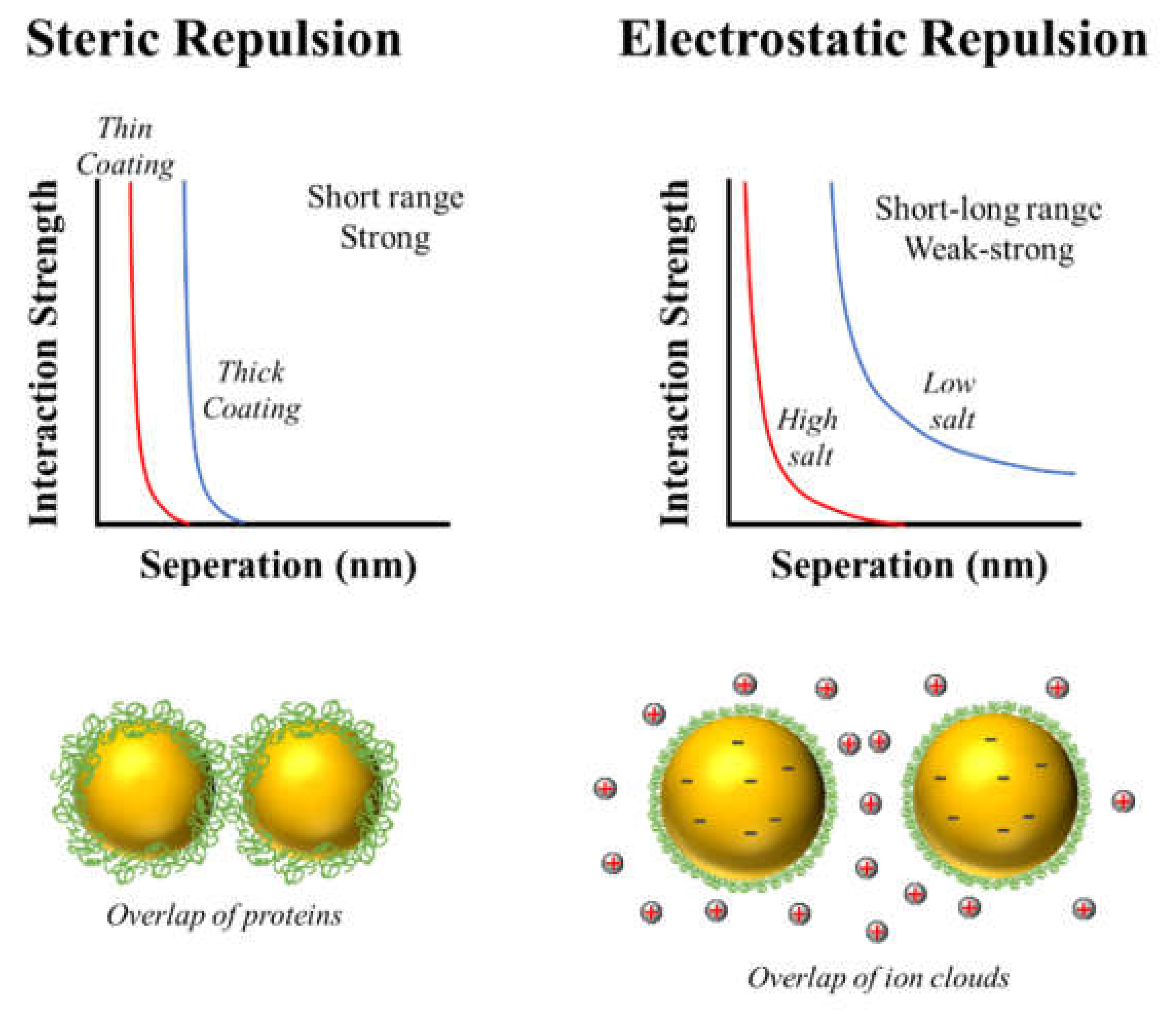 Colloids 06 00019 g008
