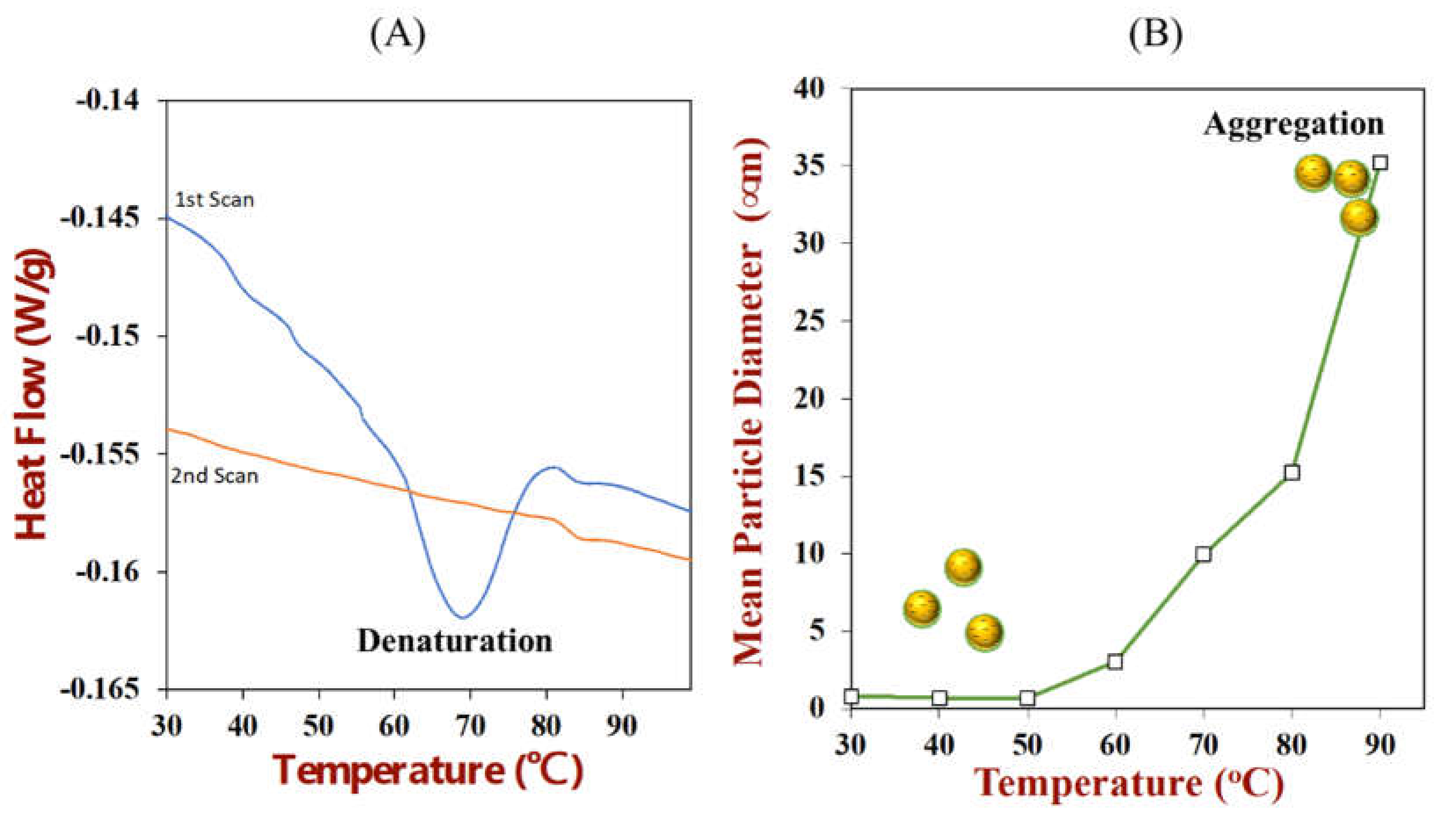 Colloids 06 00019 g011