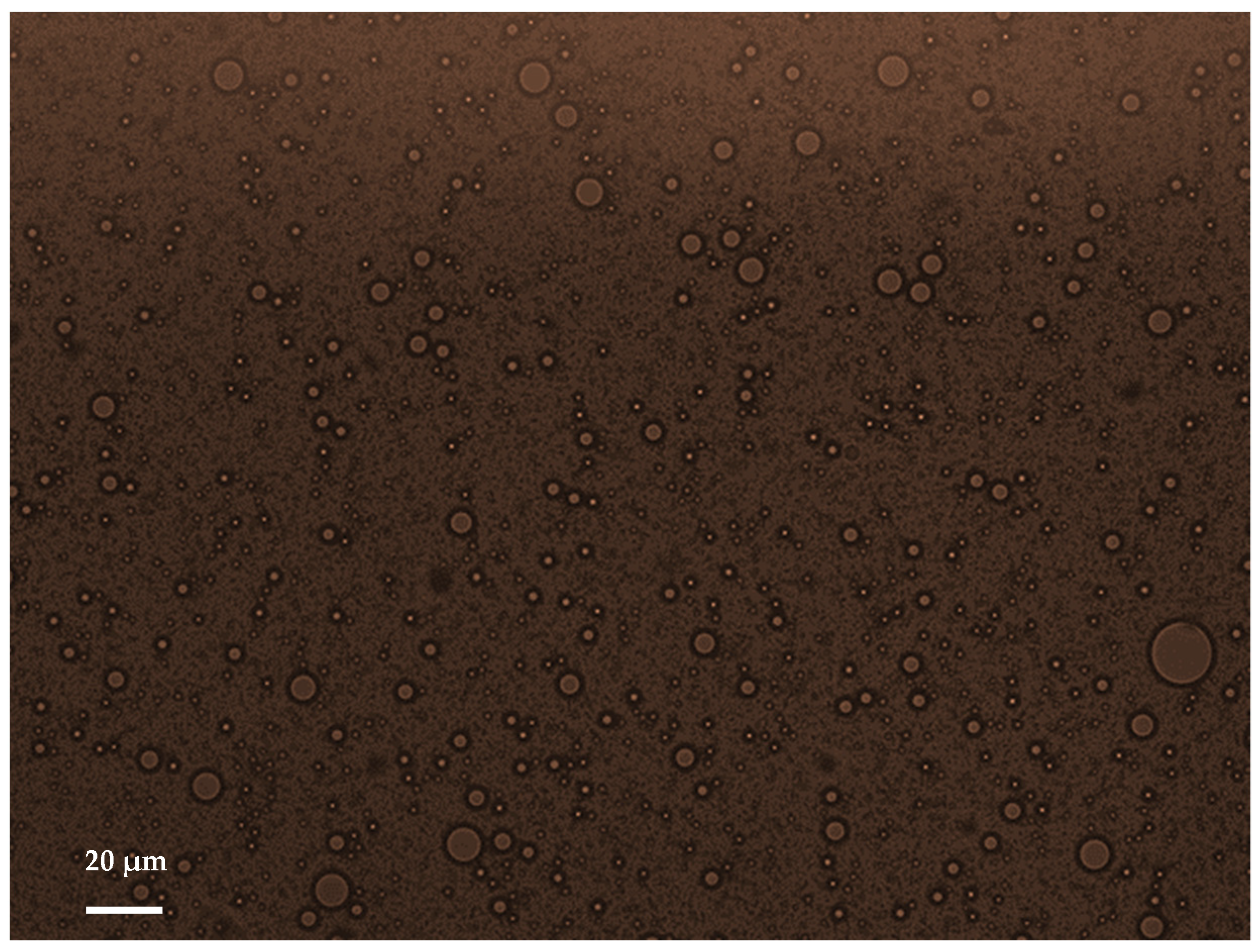 Colloids 06 00021 g001 Colloids 06 00021 g001