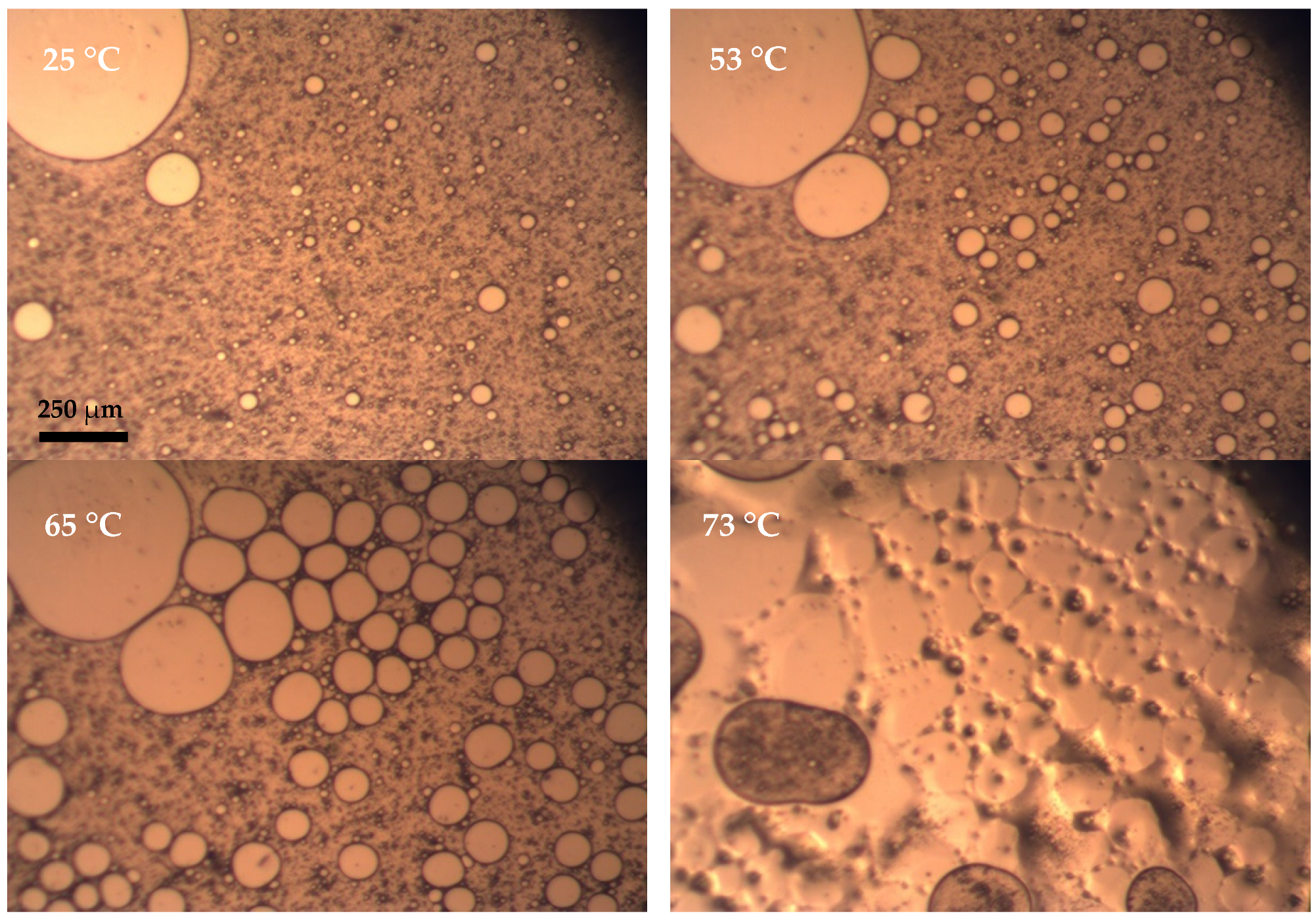 Colloids 06 00021 g003 Colloids 06 00021 g003