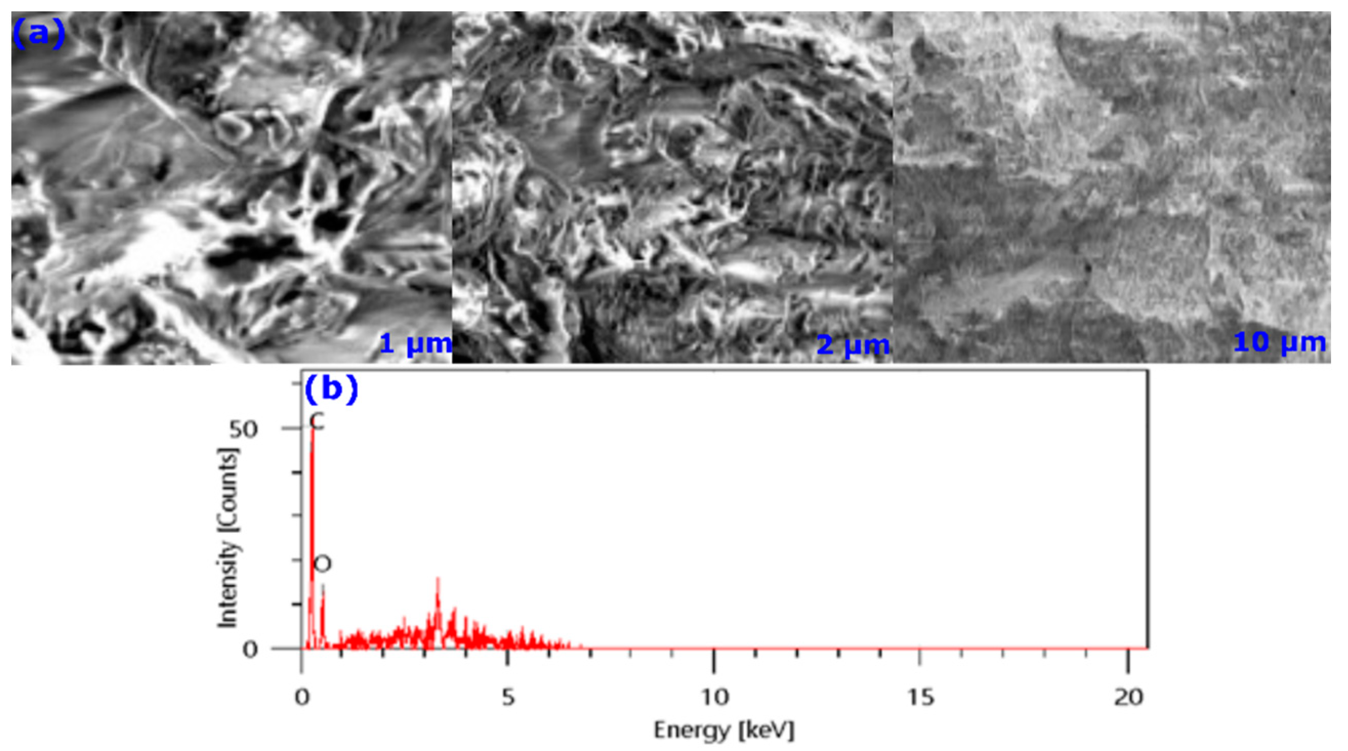 Colloids 06 00022 g003