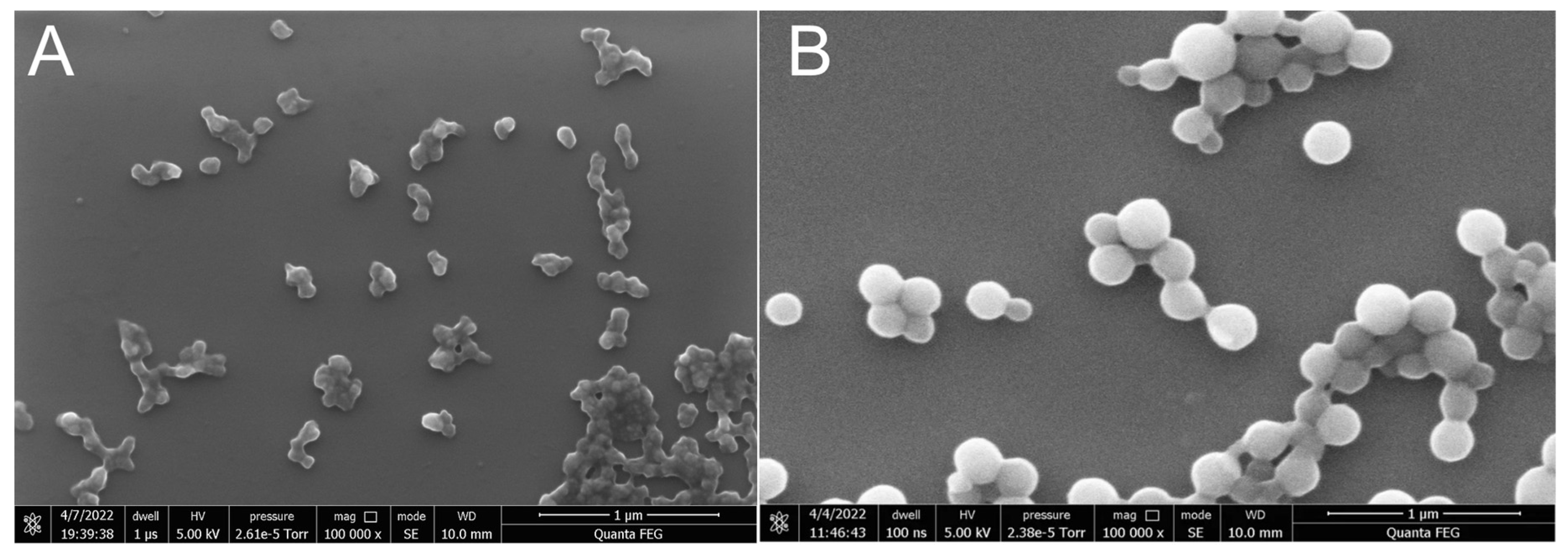 Colloids 06 00029 g002
