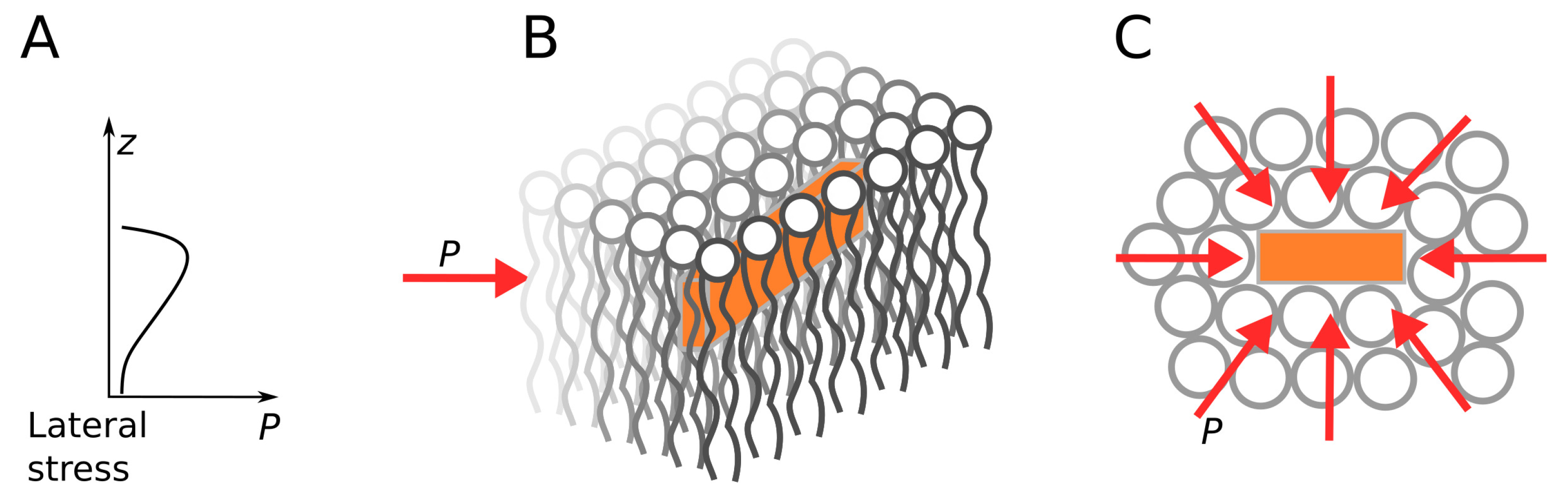 Colloids 06 00030 g002