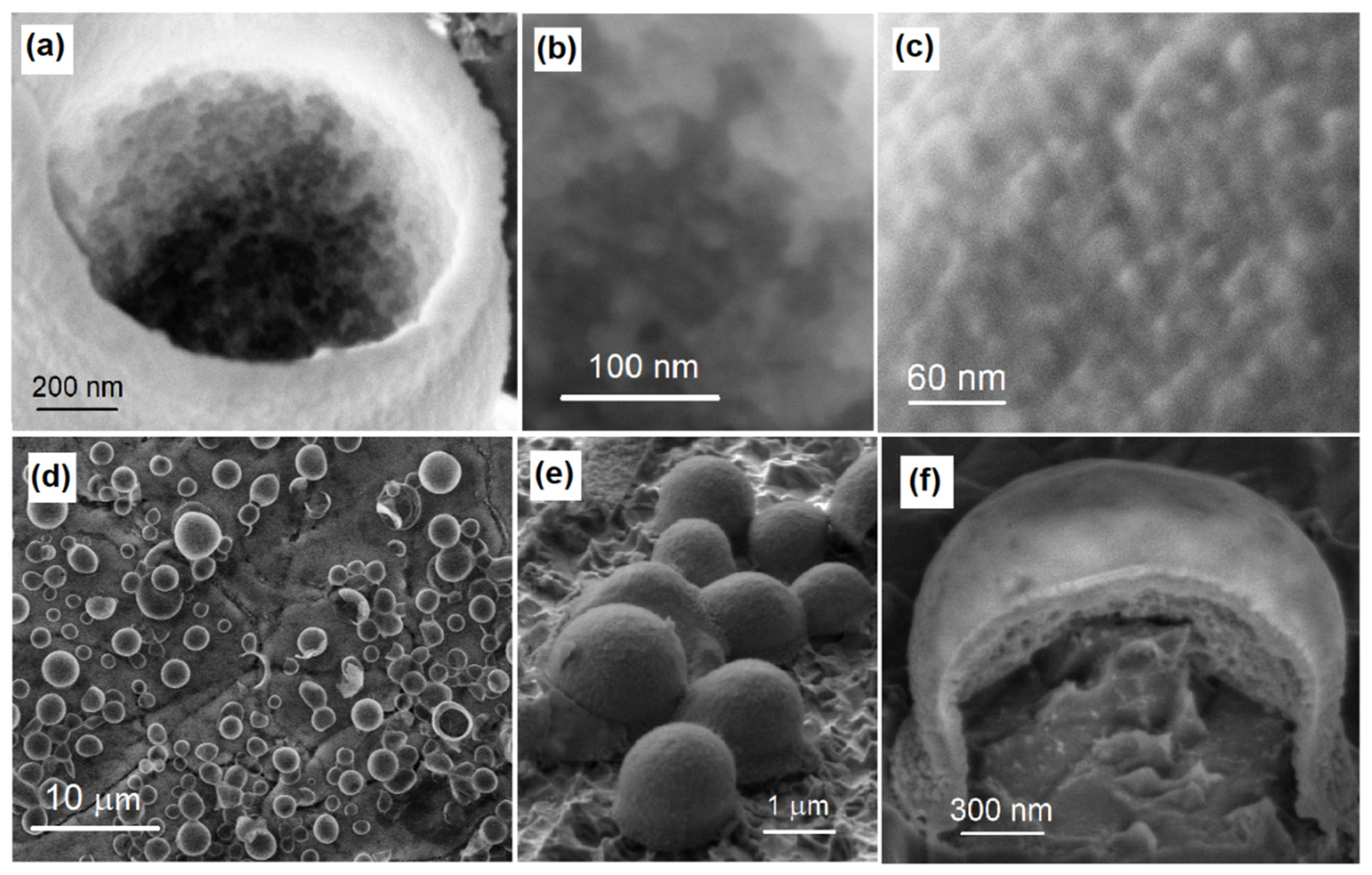 Colloids 06 00032 g002