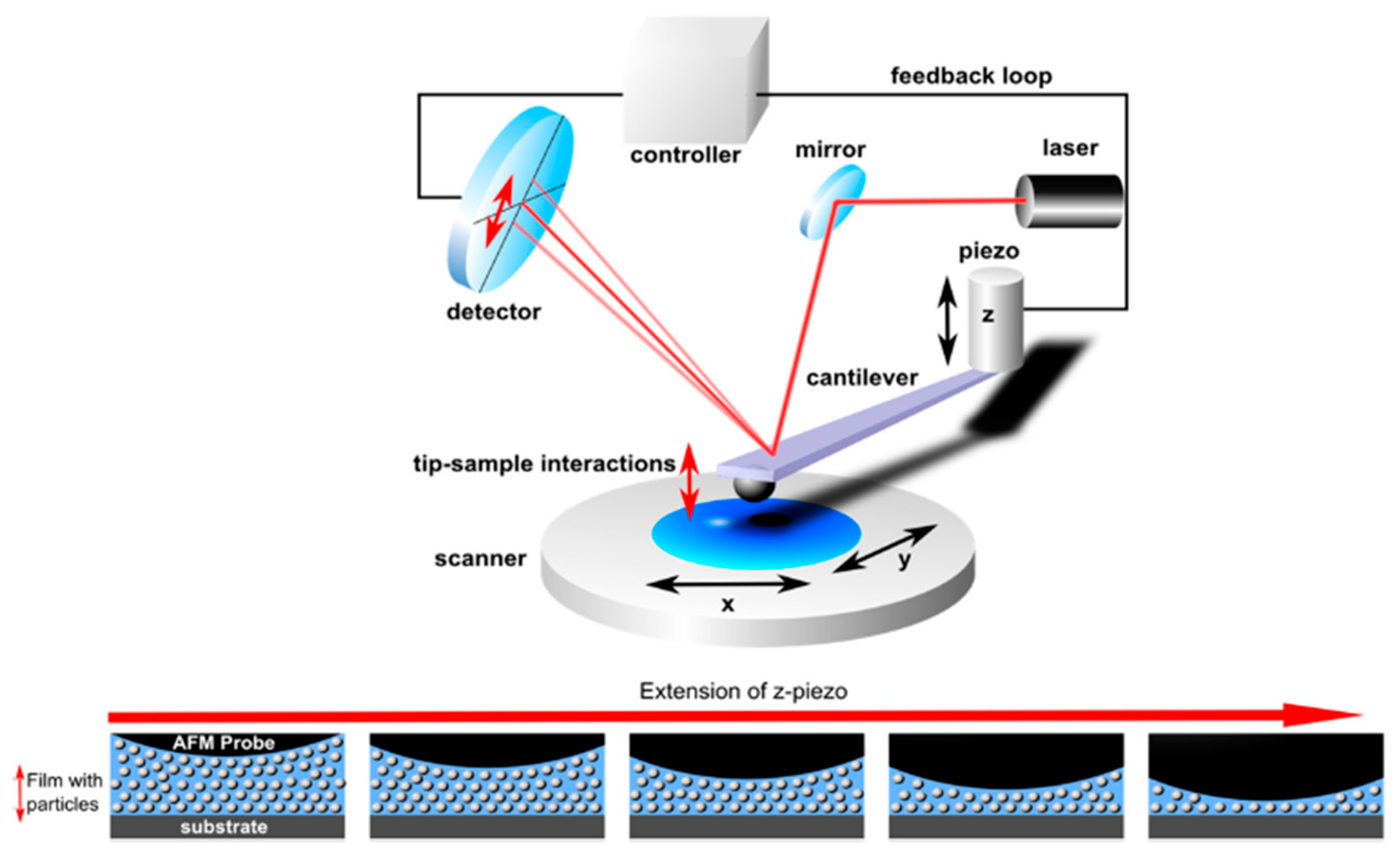 Colloids 06 00033 g008 Colloids 06 00033 g008
