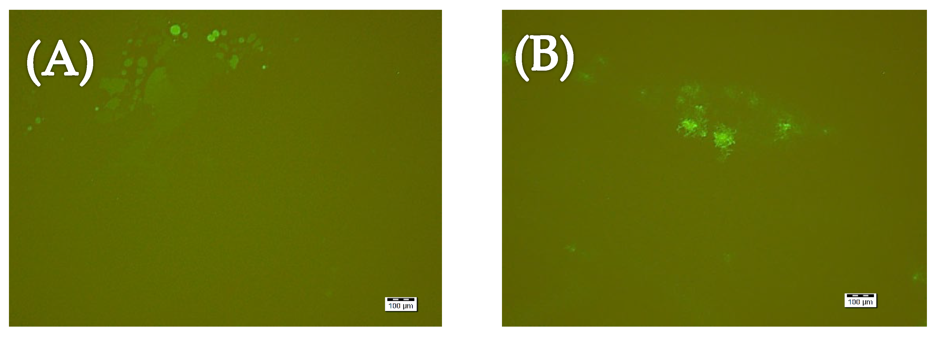 Colloids 06 00037 g002a Colloids 06 00037 g002a