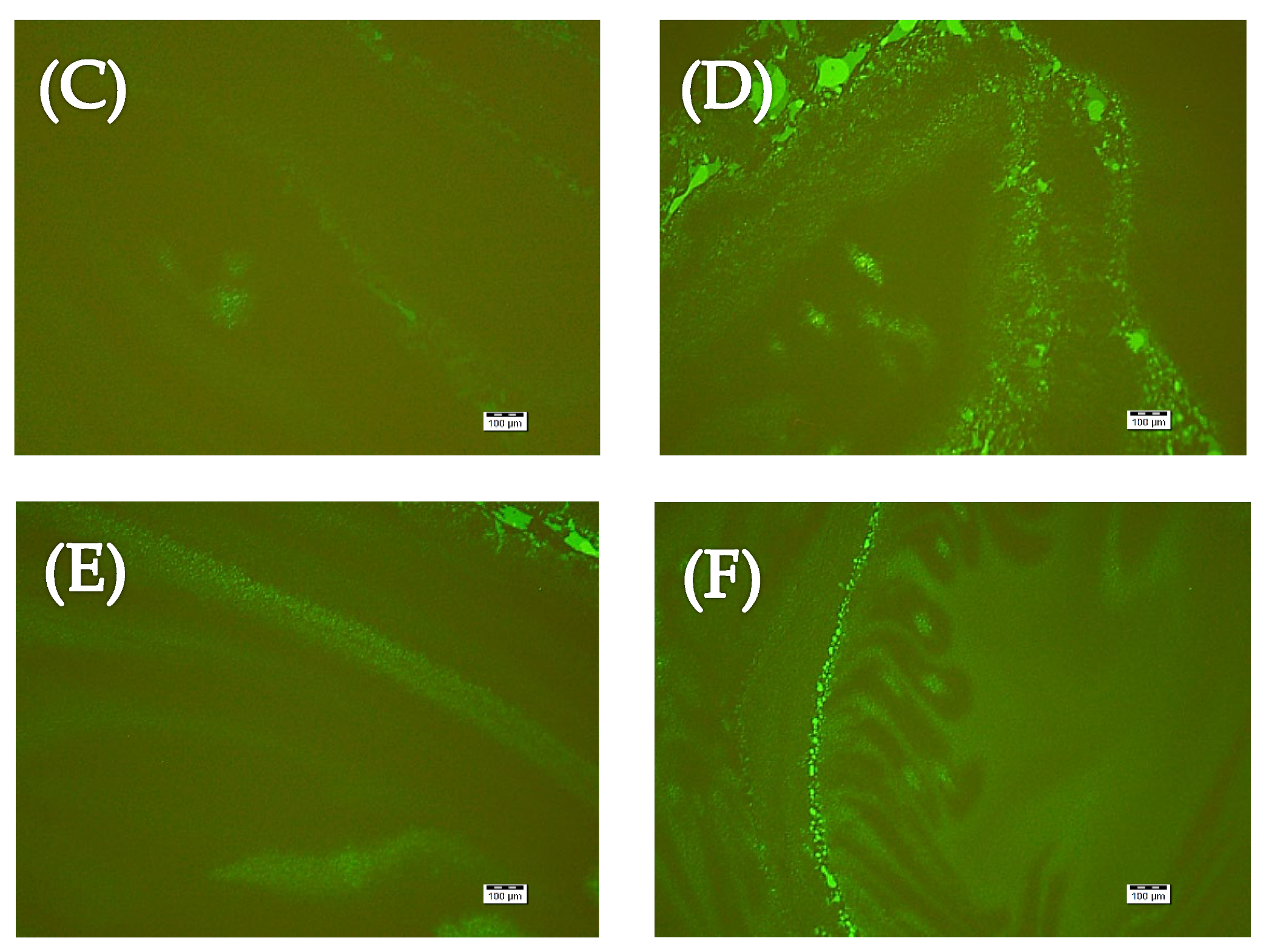 Colloids 06 00037 g002b Colloids 06 00037 g002b
