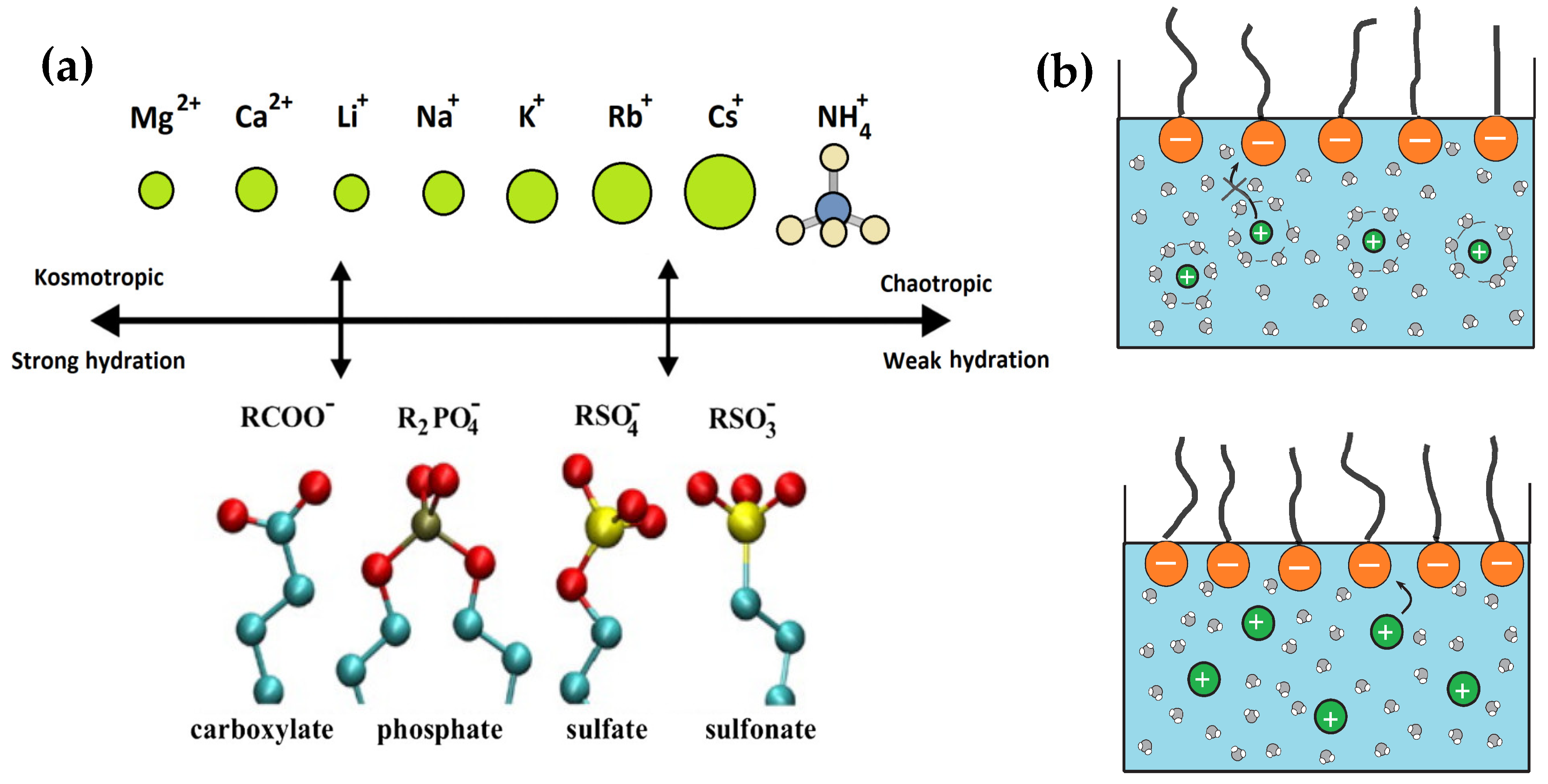 Colloids 06 00041 g003