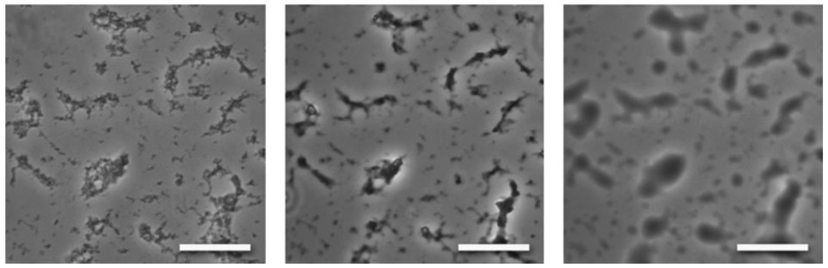 Colloids 06 00045 g002 Colloids 06 00045 g002
